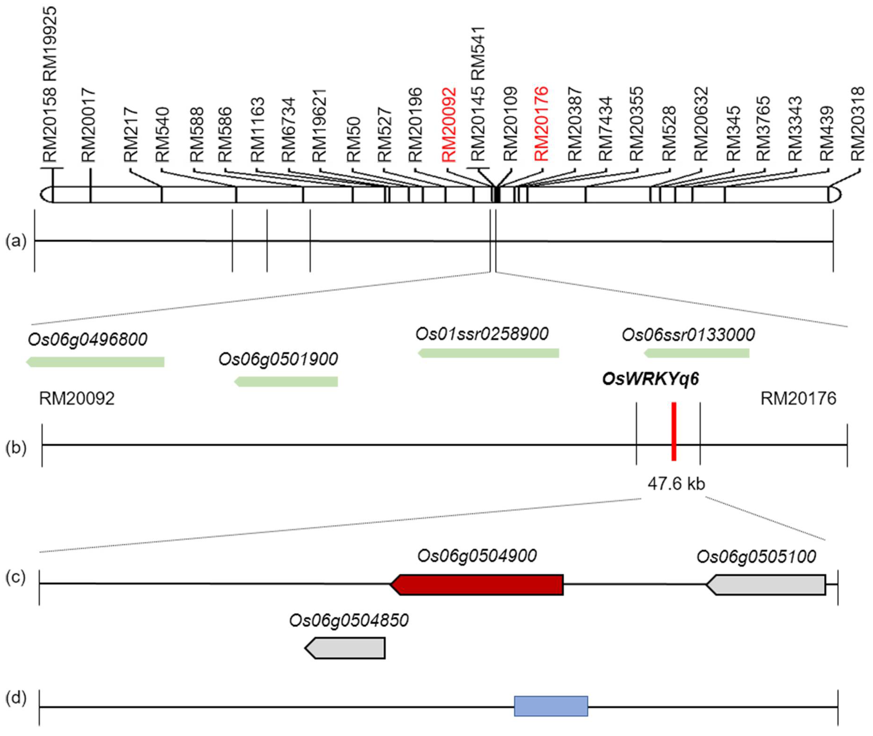Plants 11 00287 g003