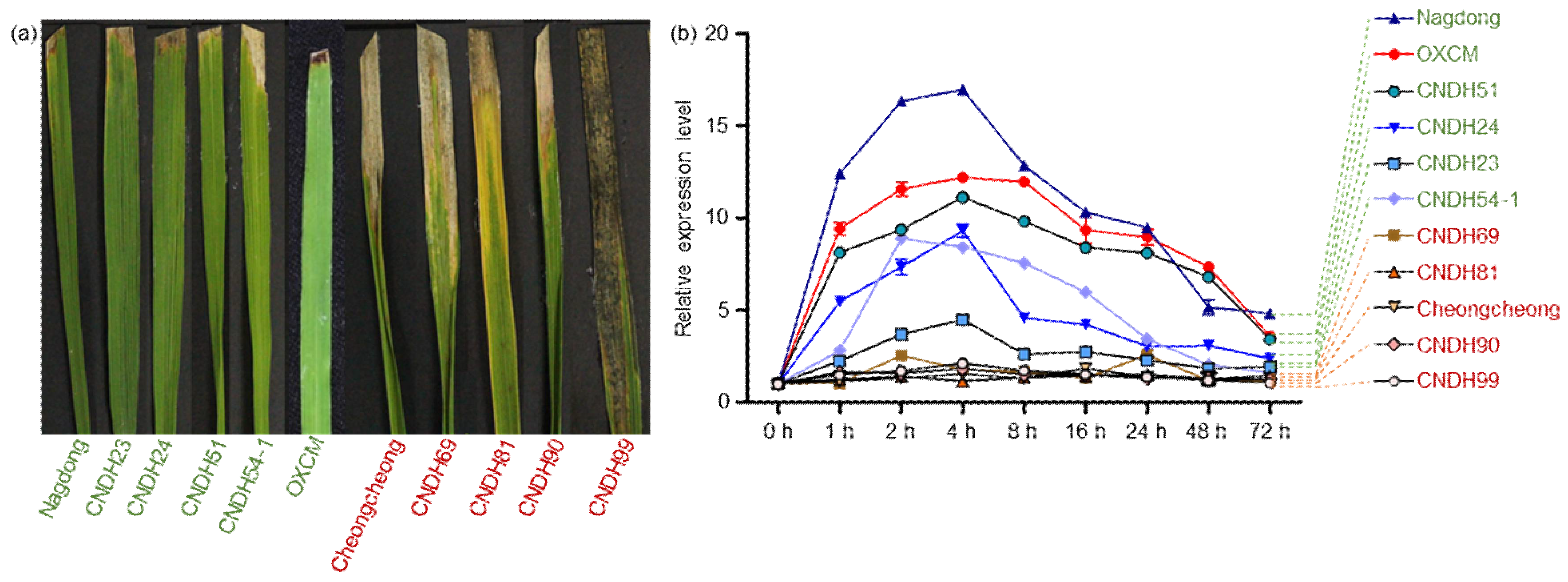 Plants 11 00287 g005