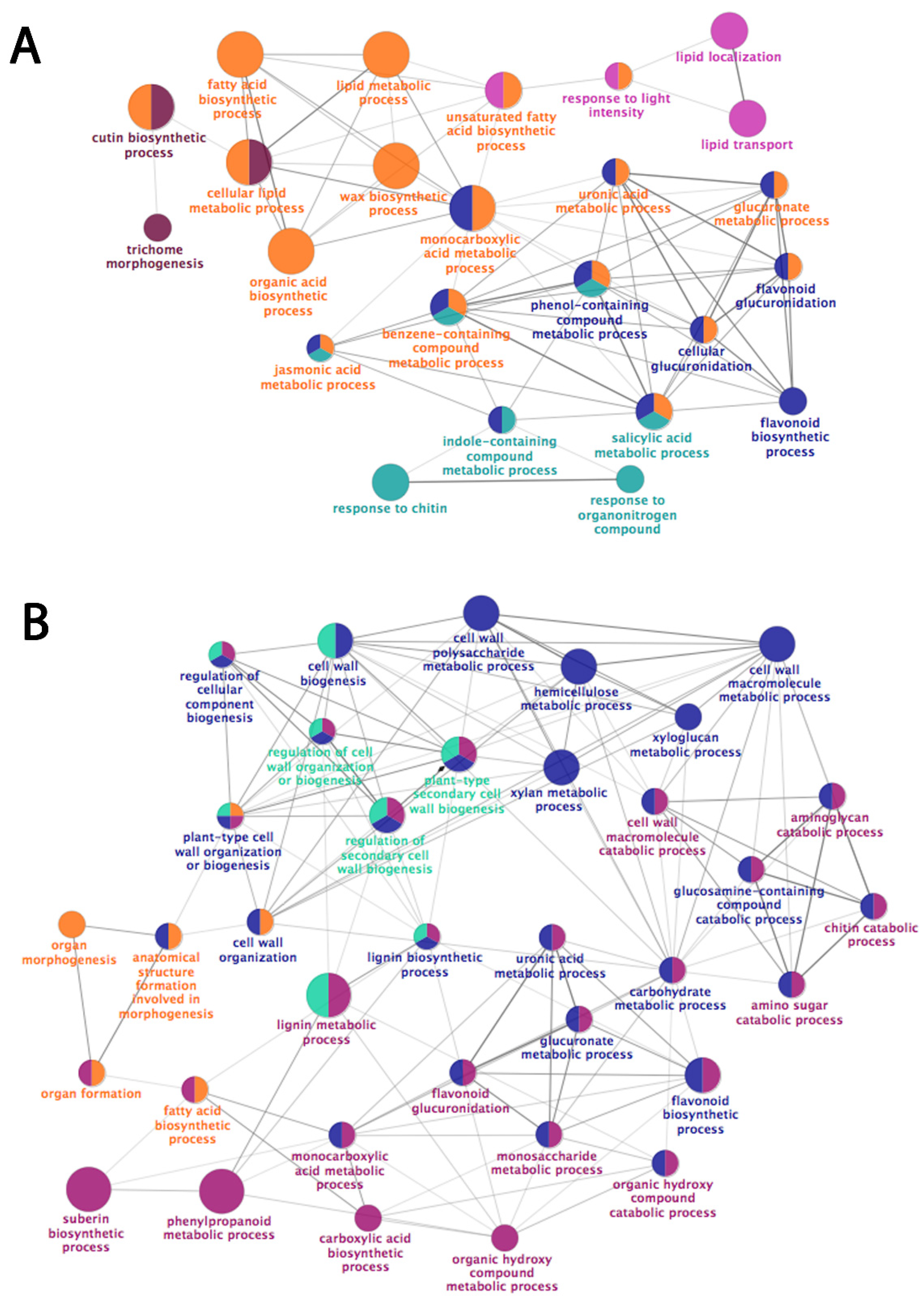 Plants 11 00289 g004