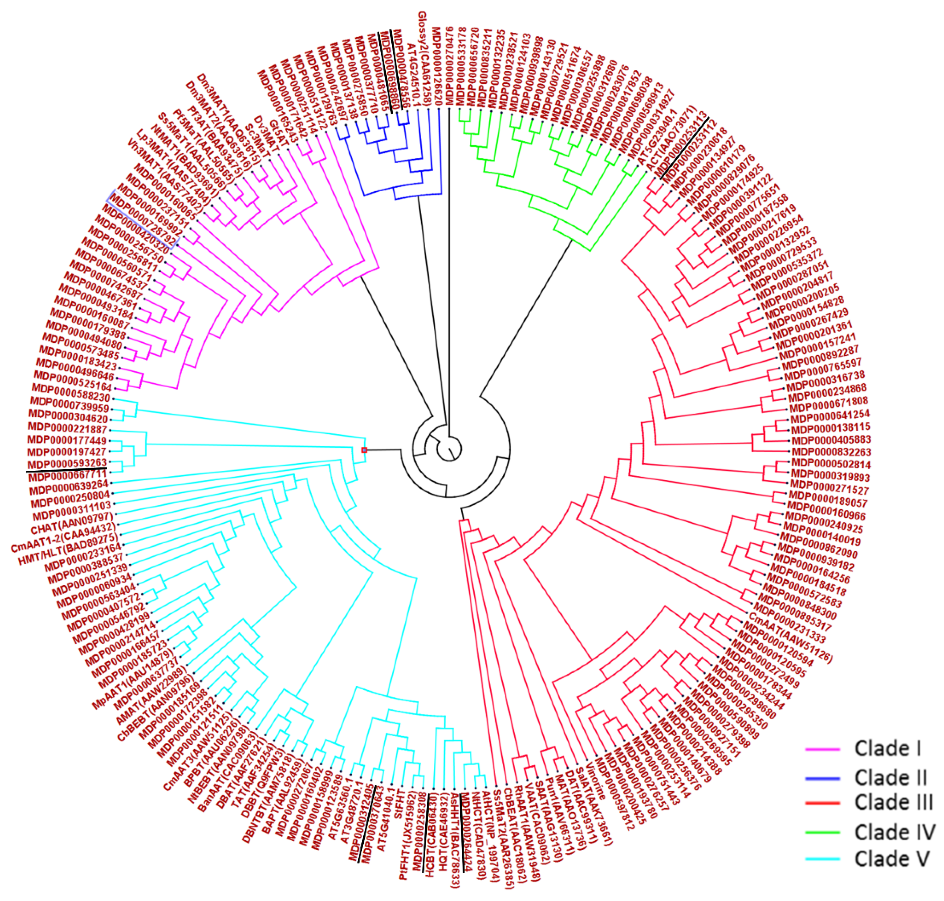 Plants 11 00289 g006
