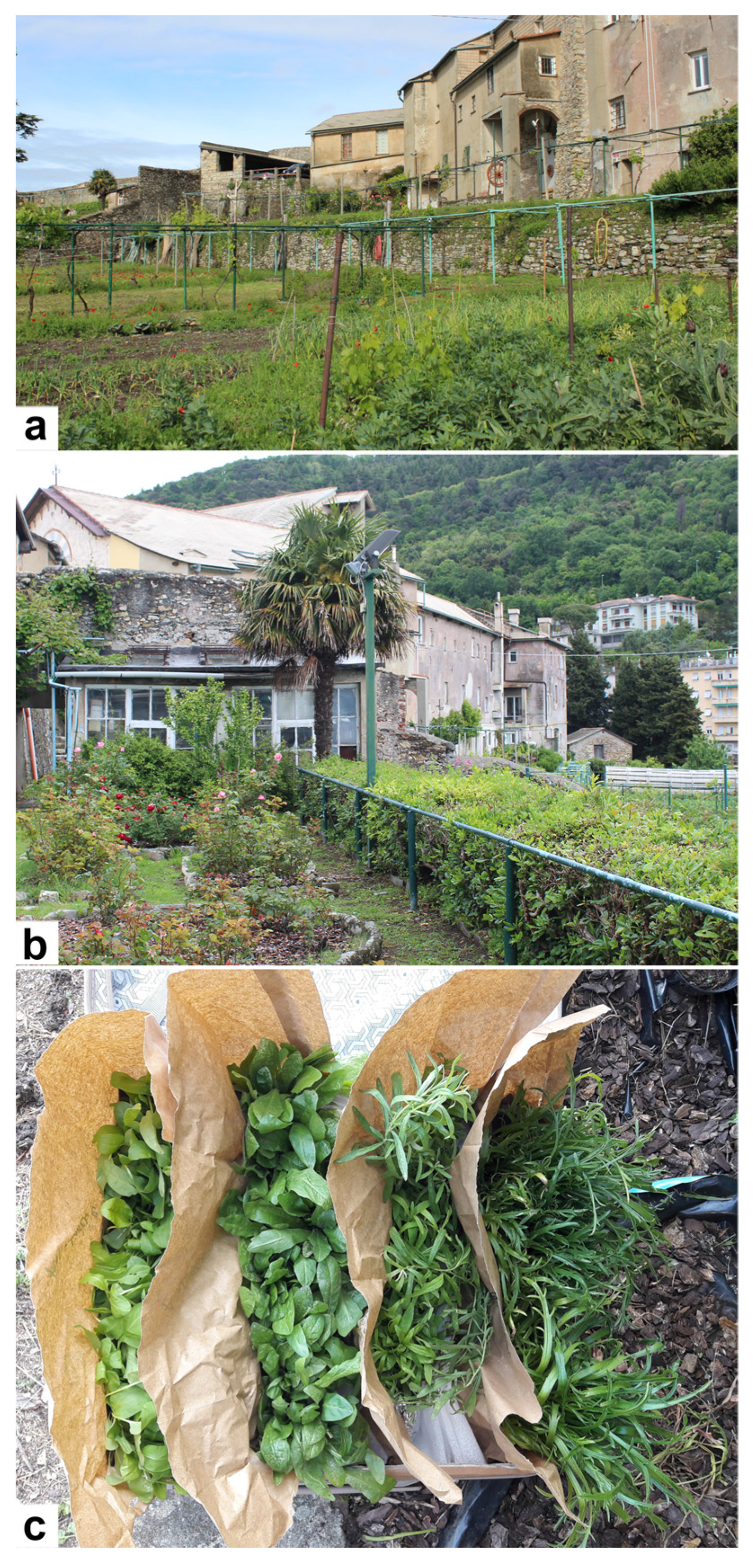 Plants 11 00301 g006 550