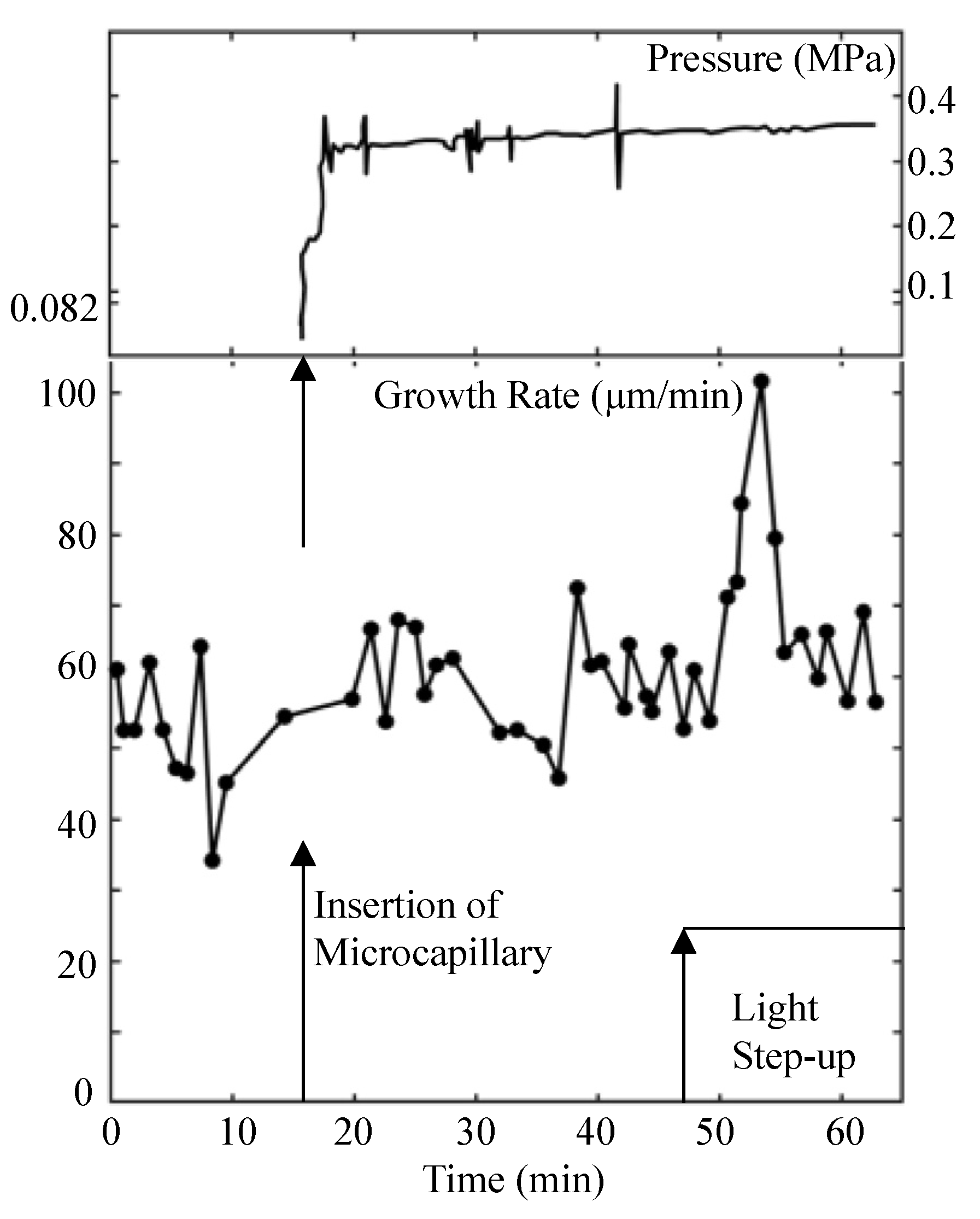Plants 11 00302 g001