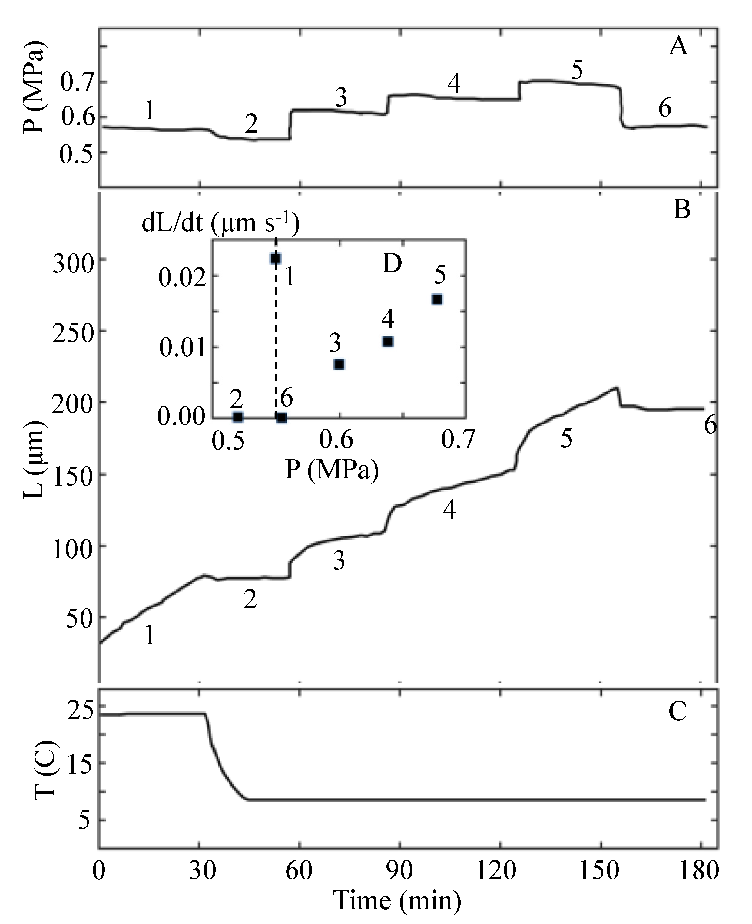 Plants 11 00302 g002