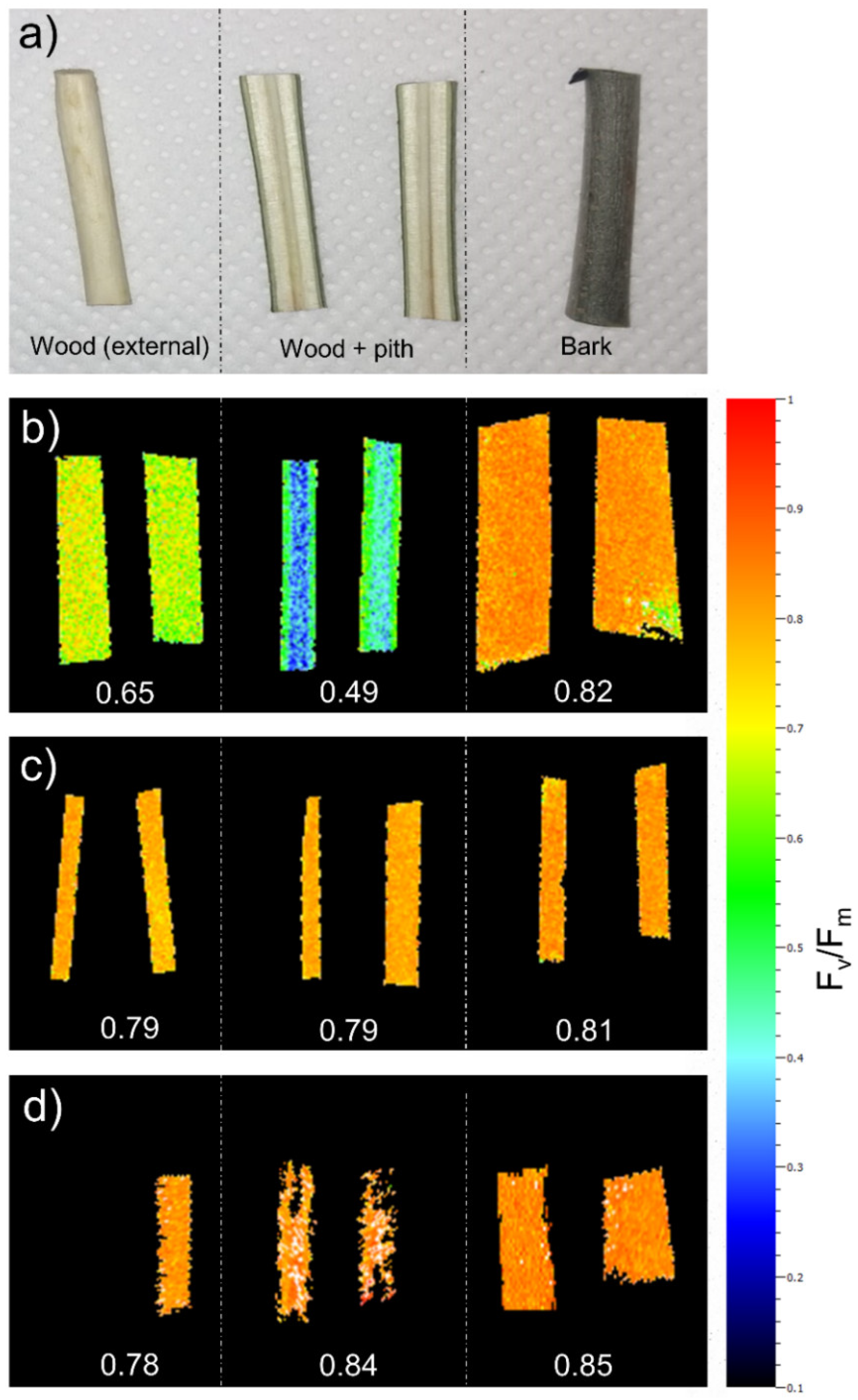 Plants 11 00307 g001 550