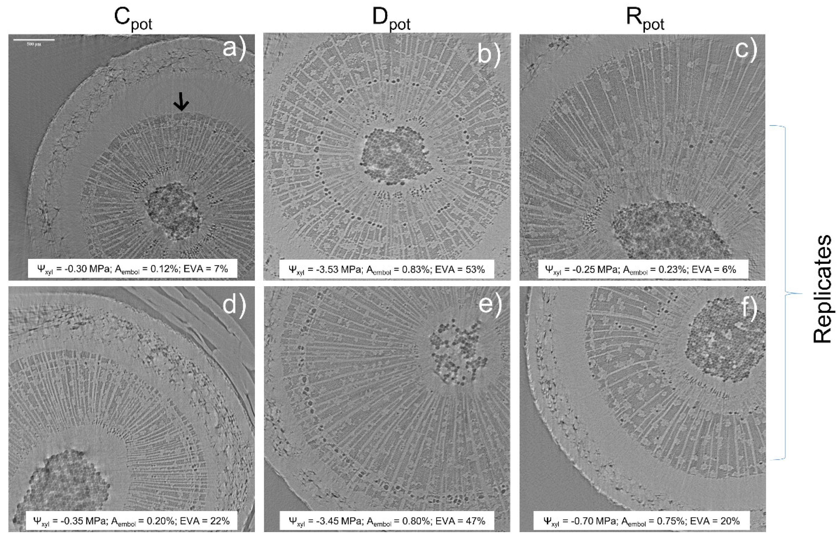Plants 11 00307 g003 550