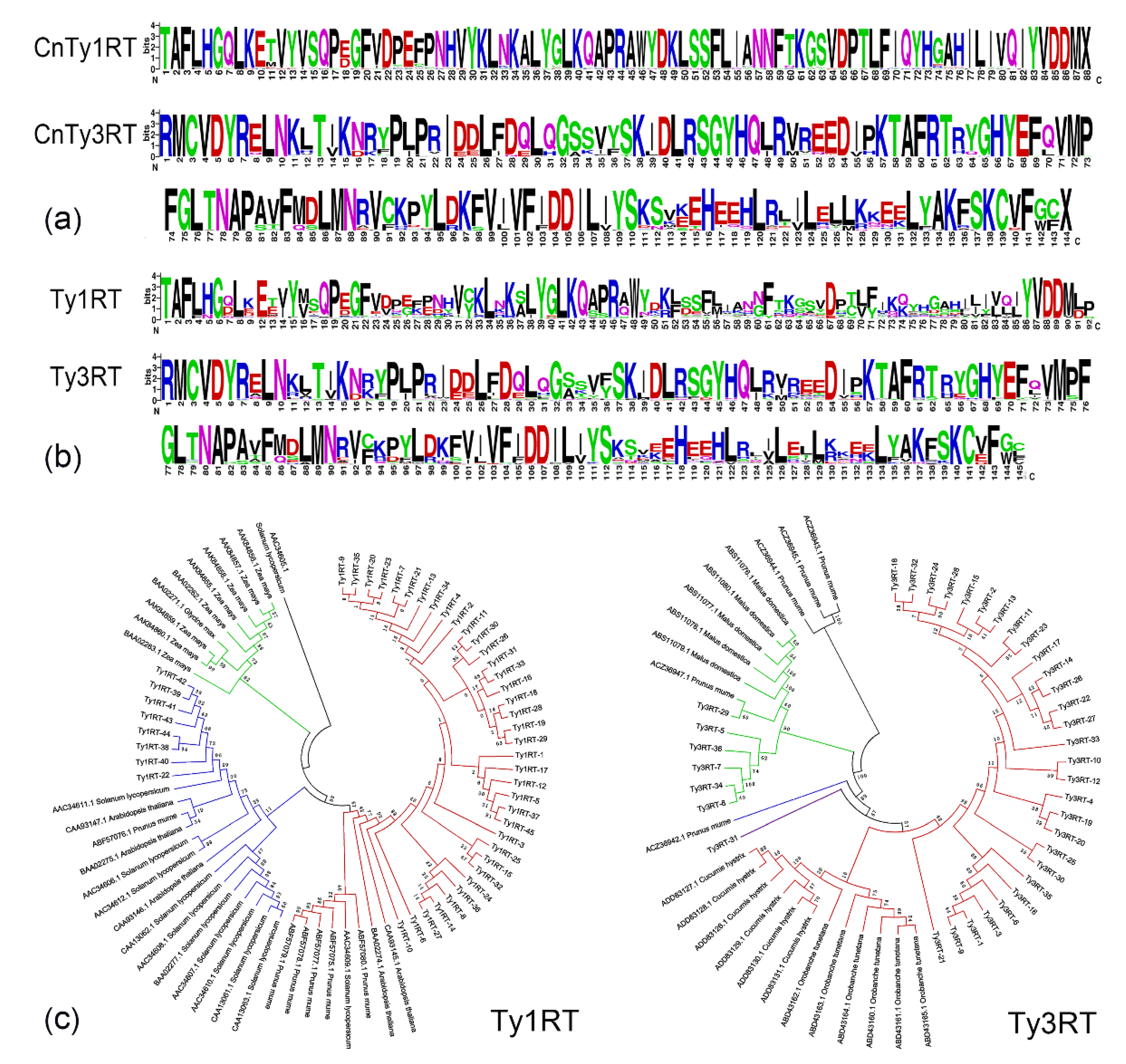 Plants 11 00315 g003