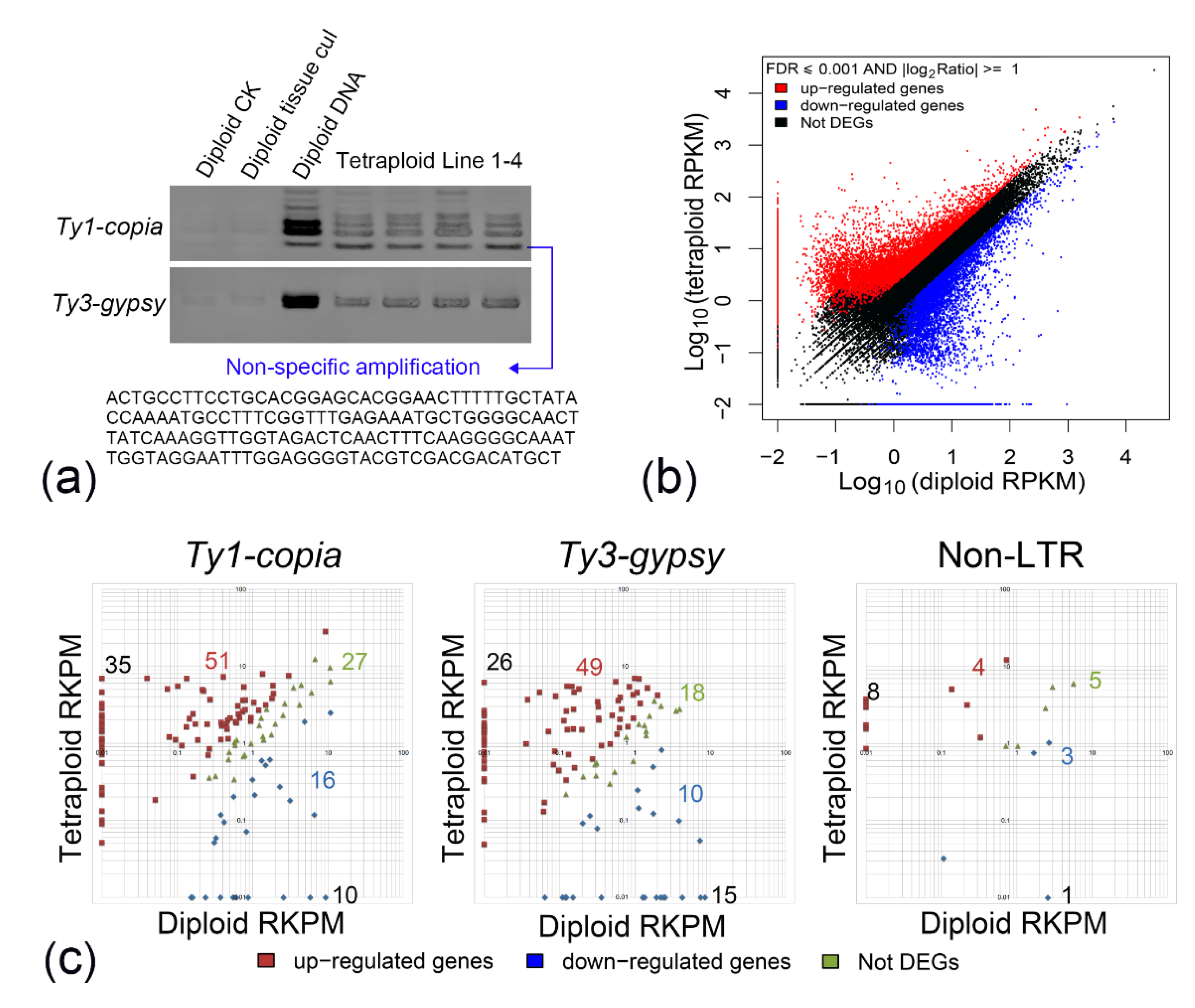 Plants 11 00315 g004