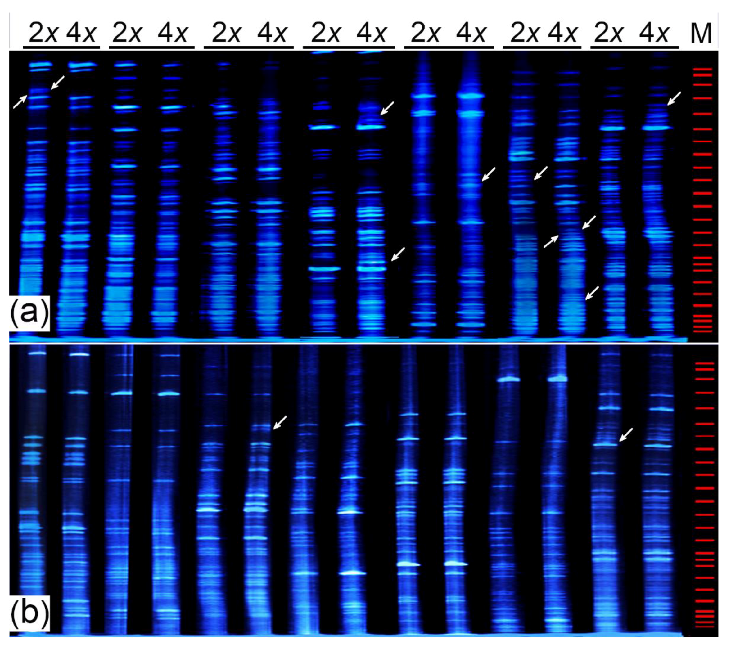Plants 11 00315 g007