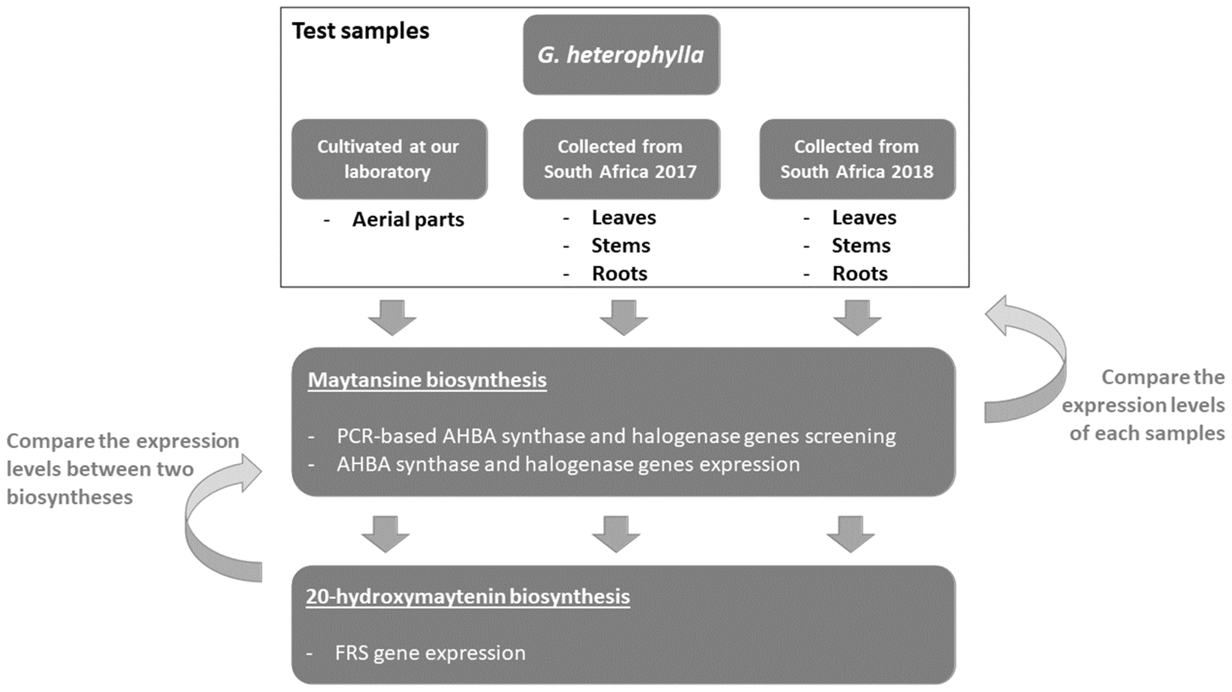 Plants 11 00321 g002