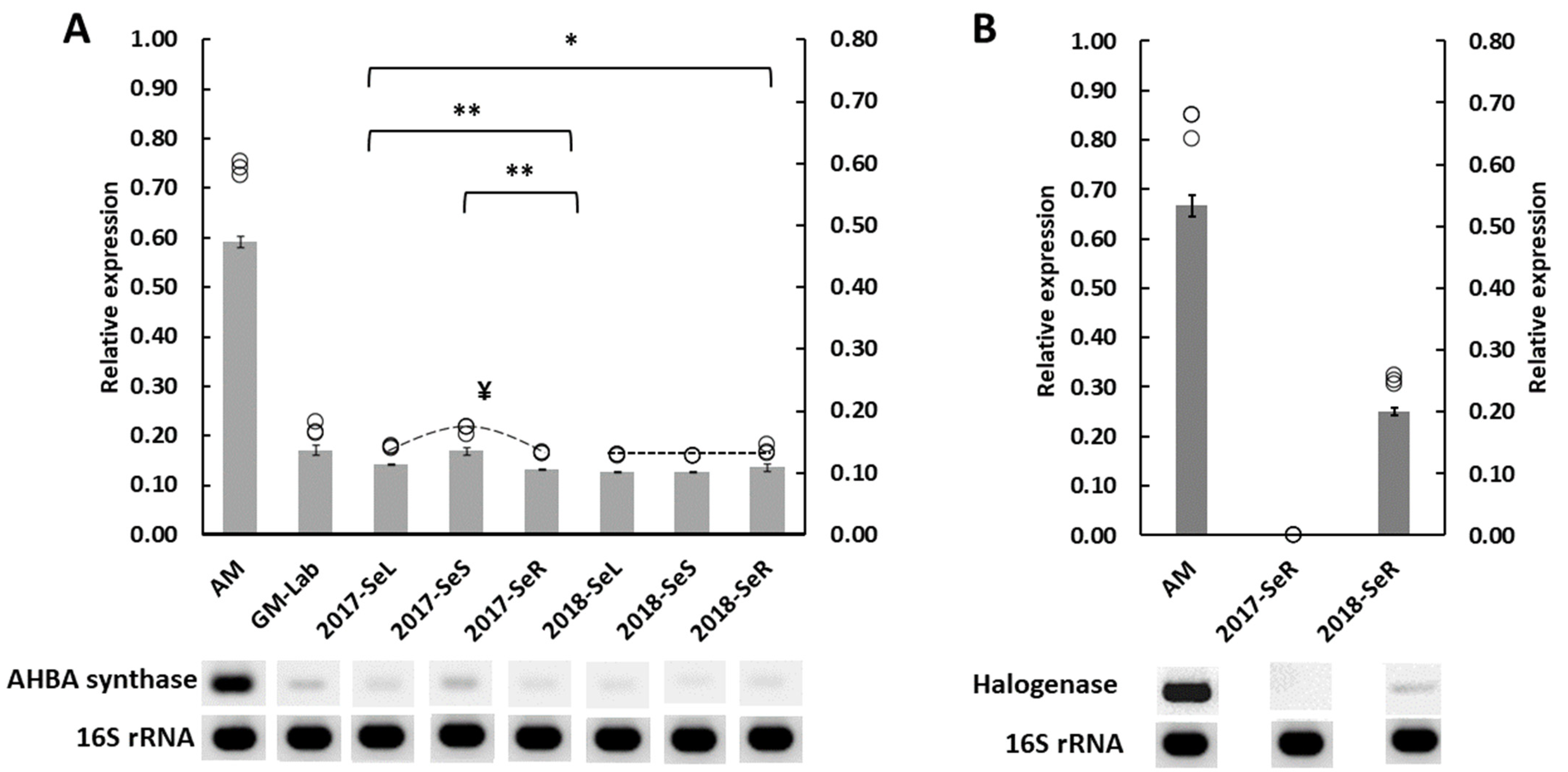 Plants 11 00321 g006