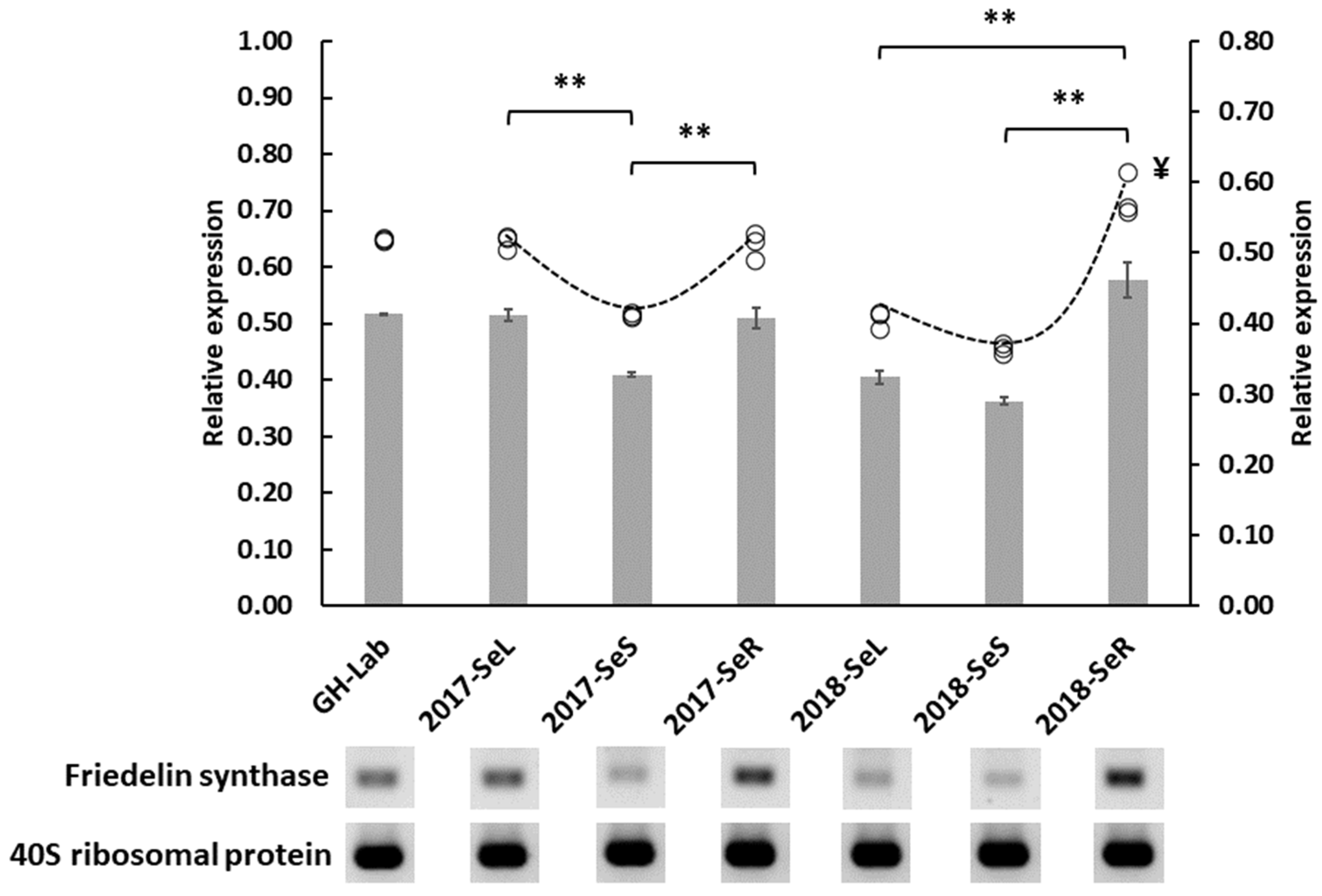Plants 11 00321 g007