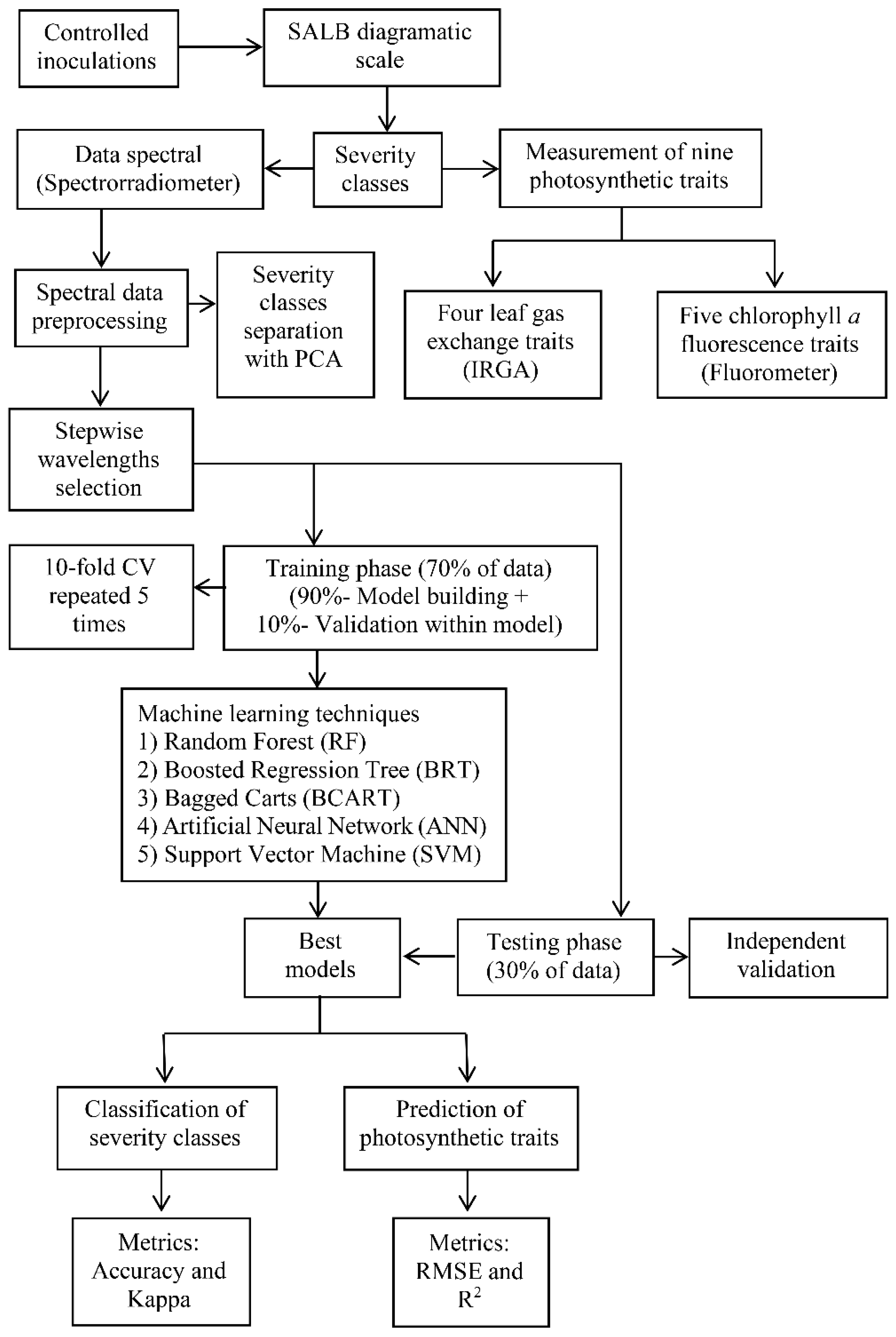 Plants 11 00329 g002