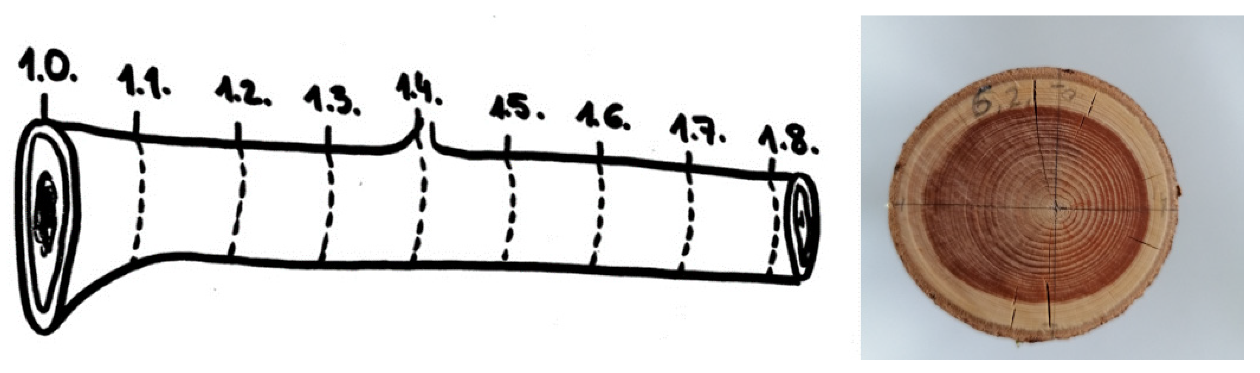 Plants 11 00333 g003 550