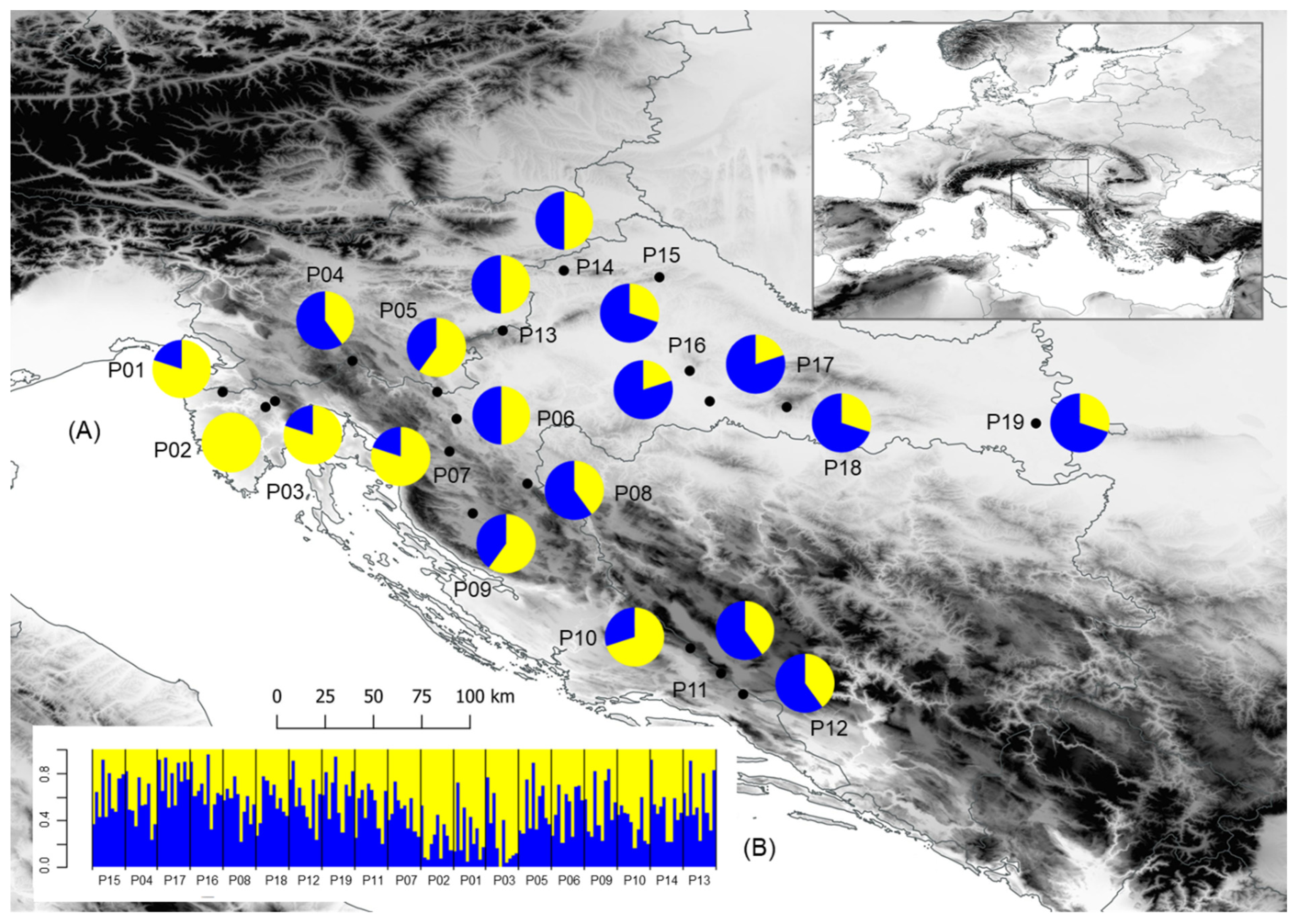 Plants 11 00335 g001 Plants 11 00335 g001