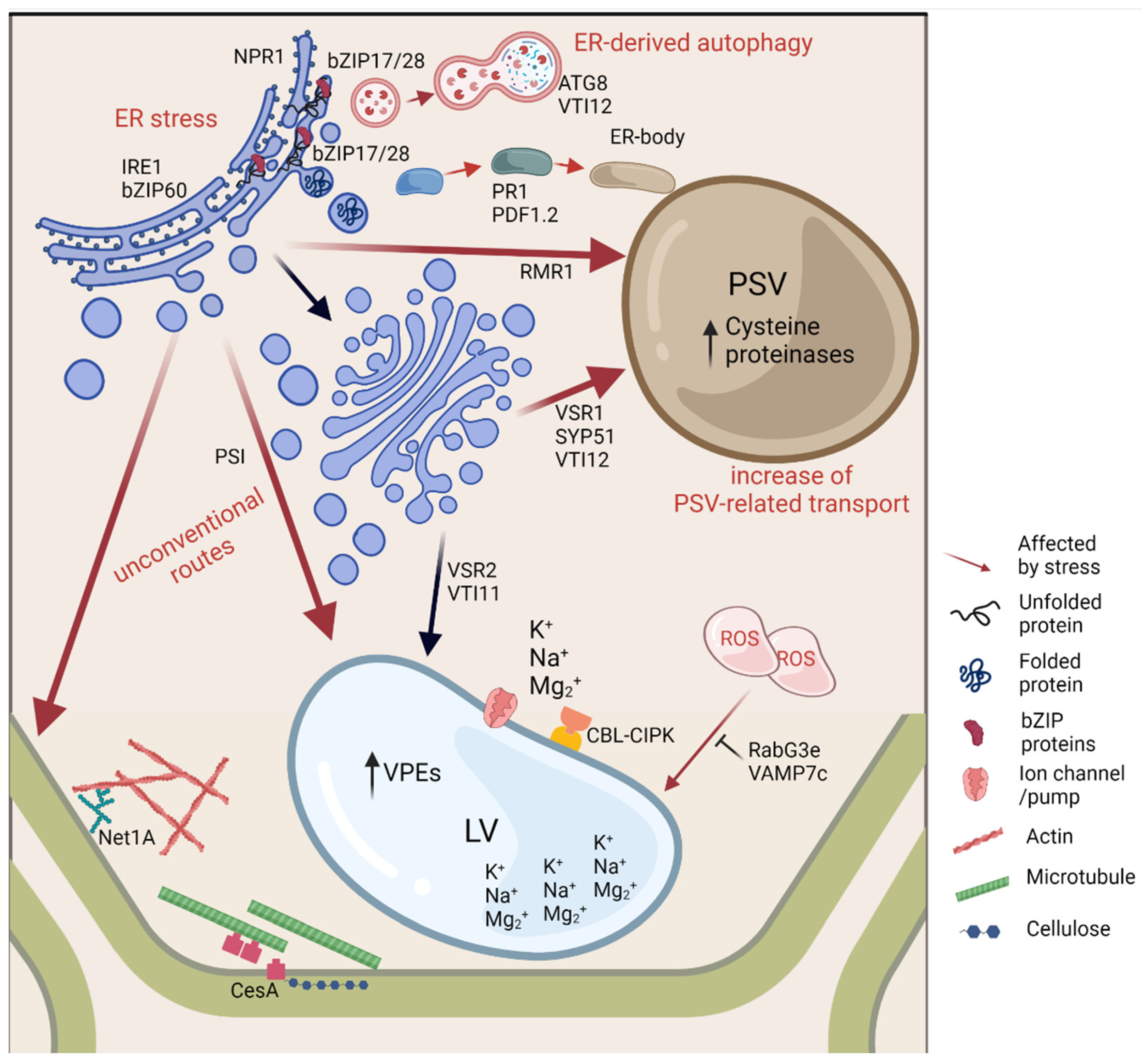 Plants 11 00338 g001