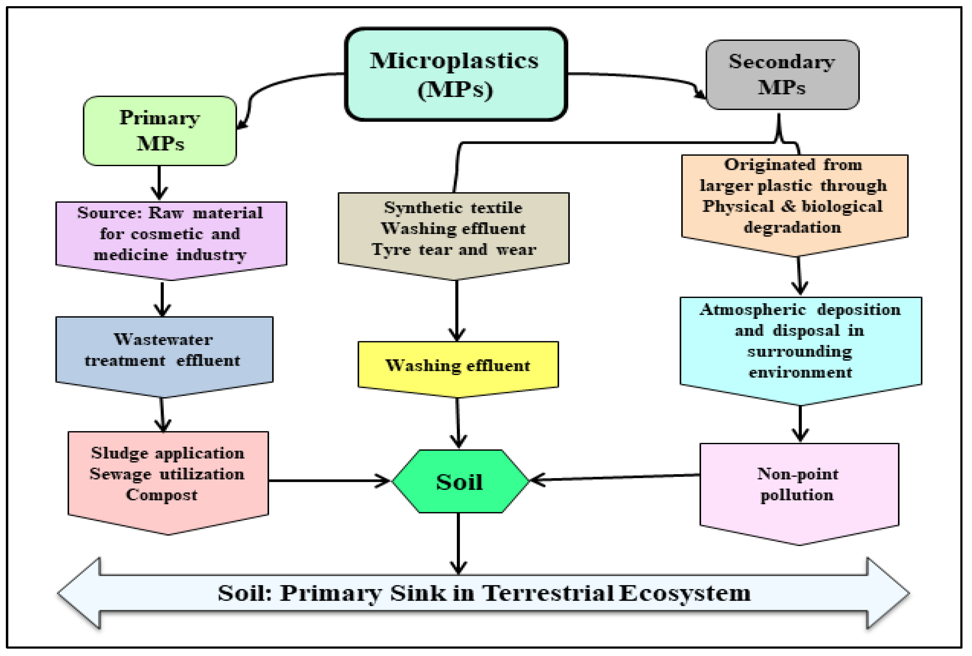 Plants 11 00340 g002 550