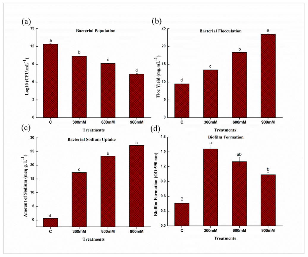 Plants 11 00345 g002