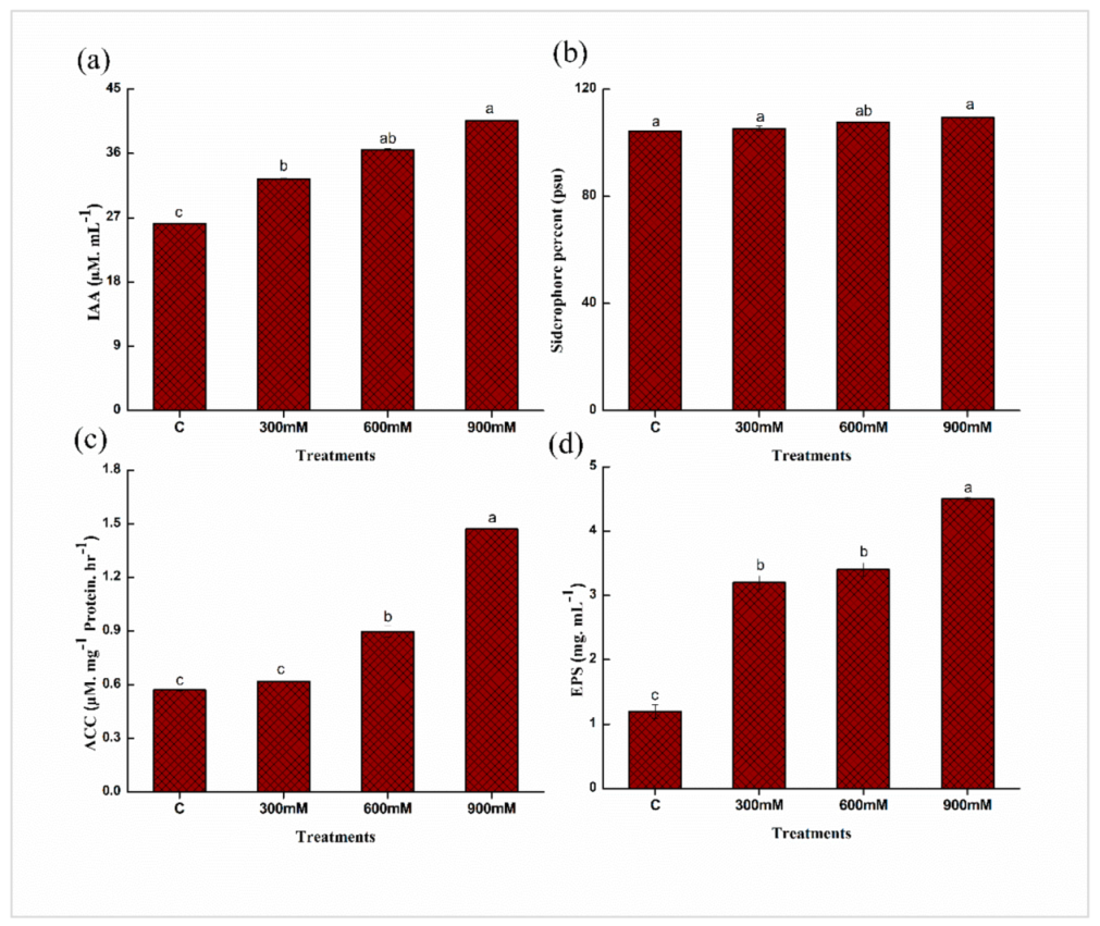 Plants 11 00345 g003