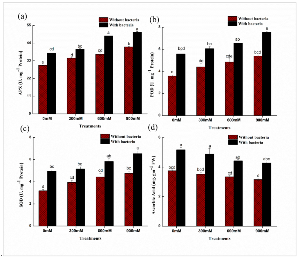 Plants 11 00345 g004