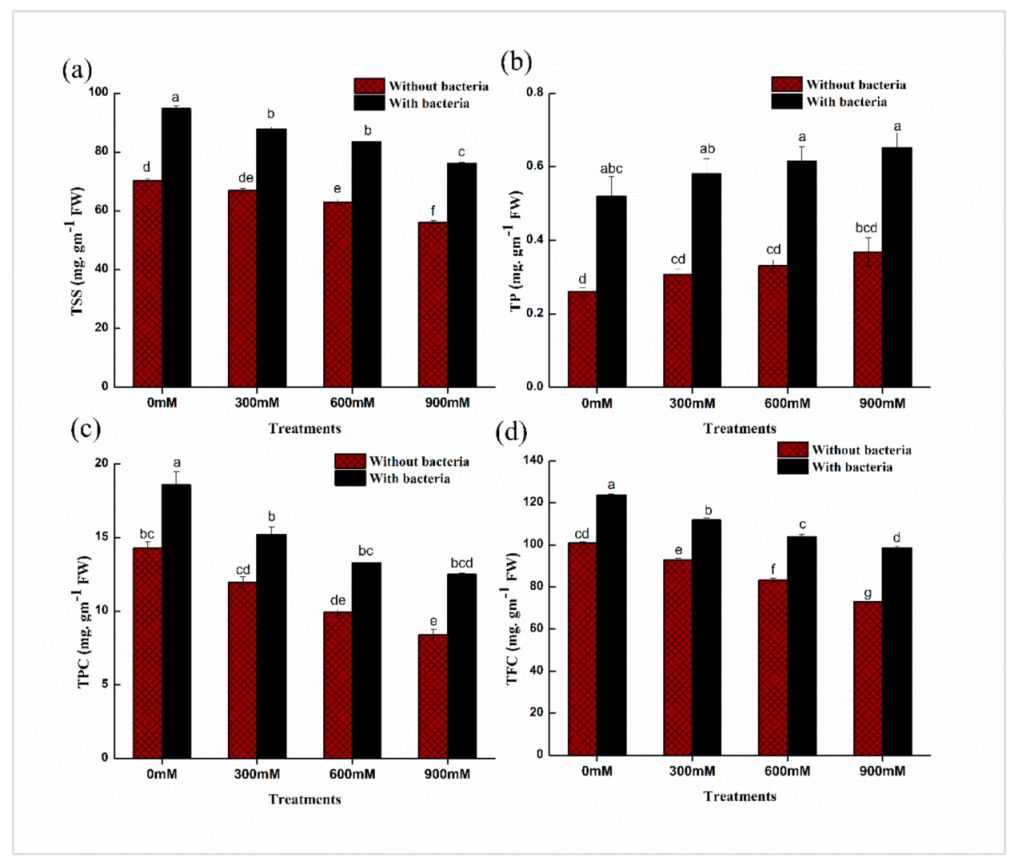 Plants 11 00345 g005