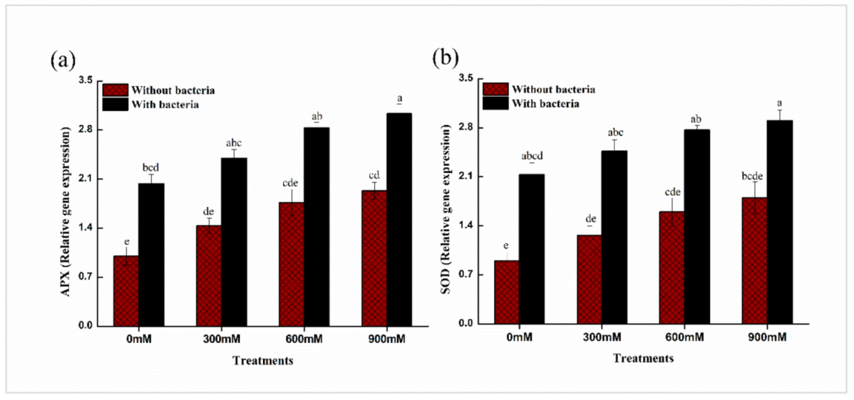 Plants 11 00345 g007