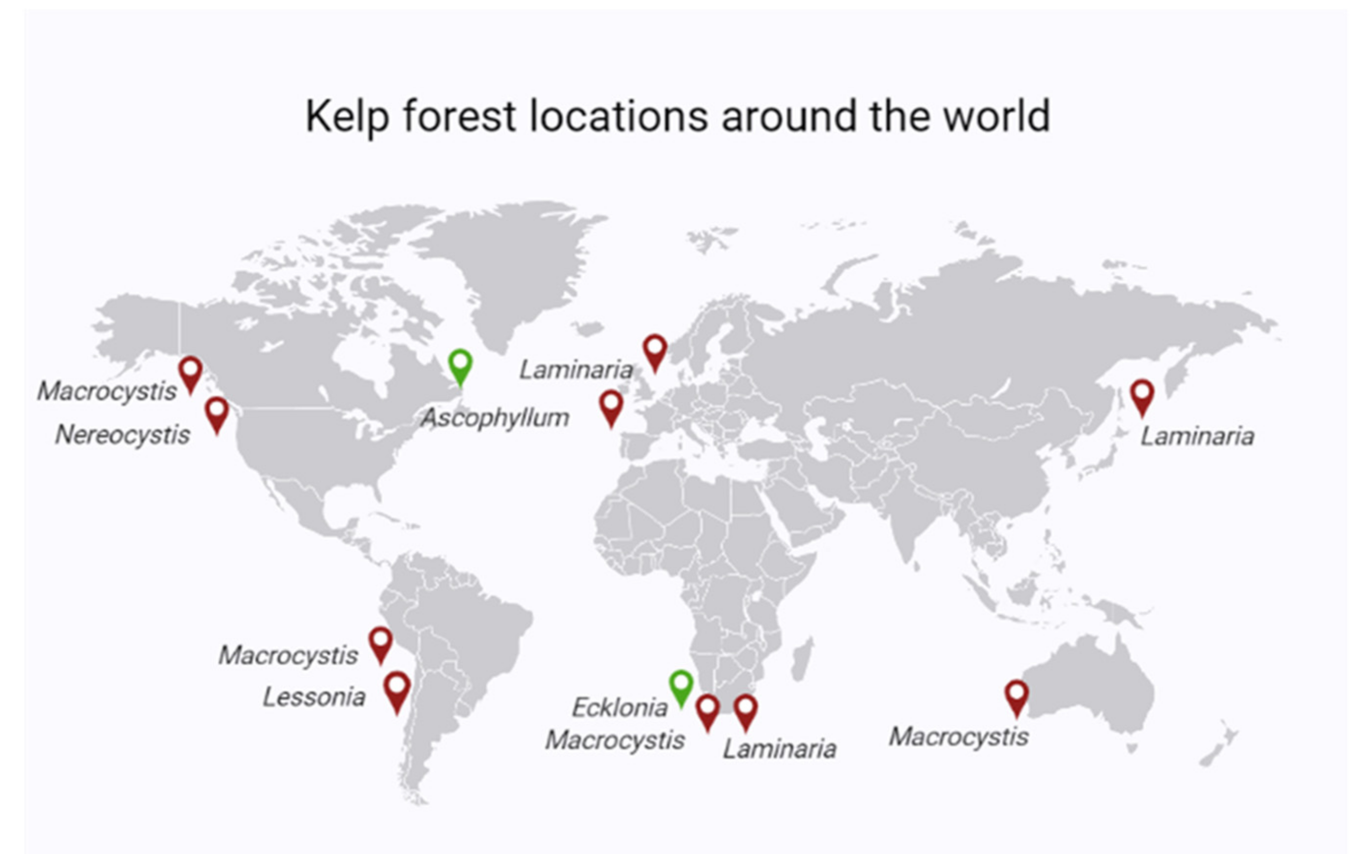 Plants 11 00348 g002 550