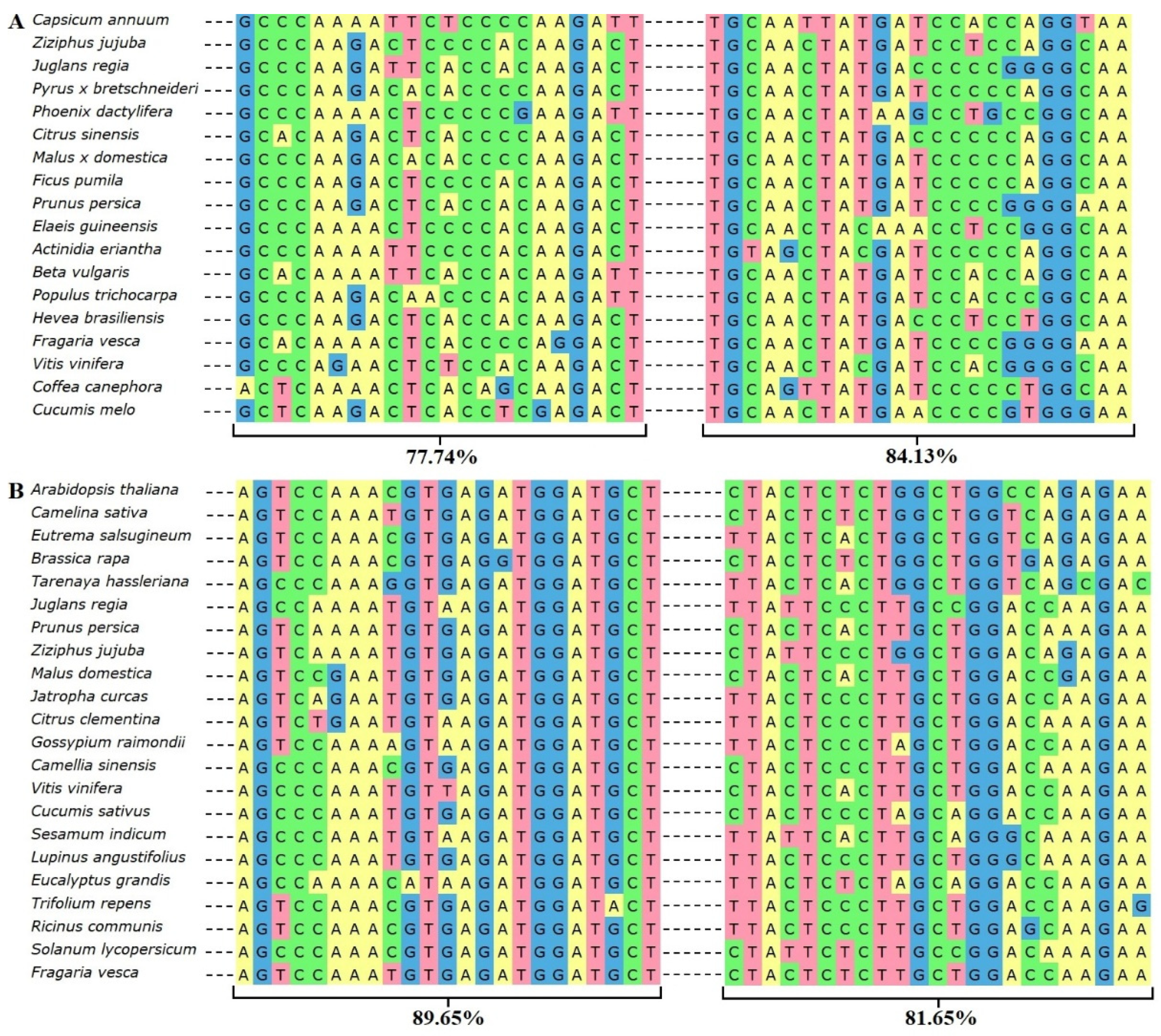 Plants 11 00355 g001