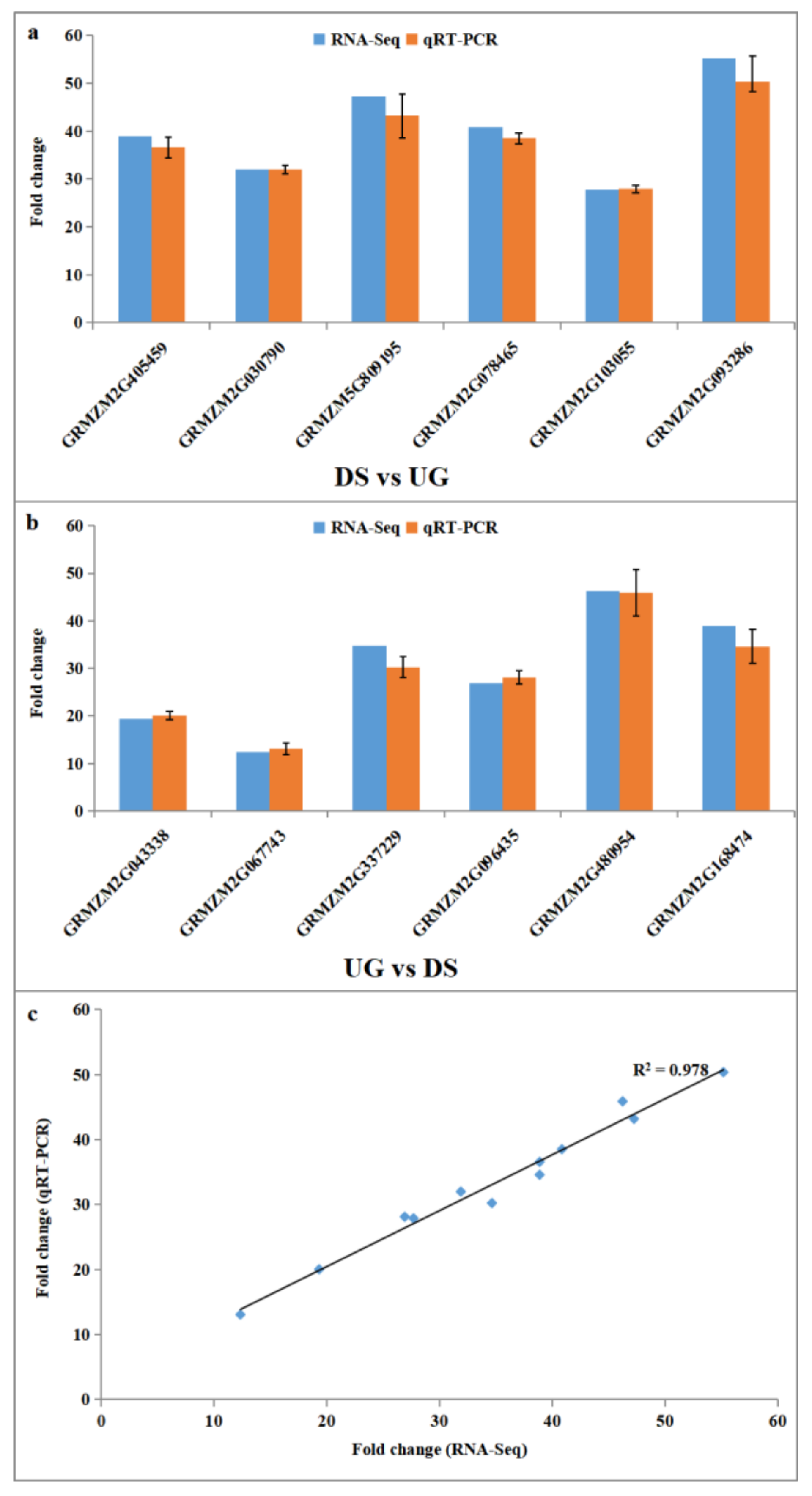 Plants 11 00359 g006