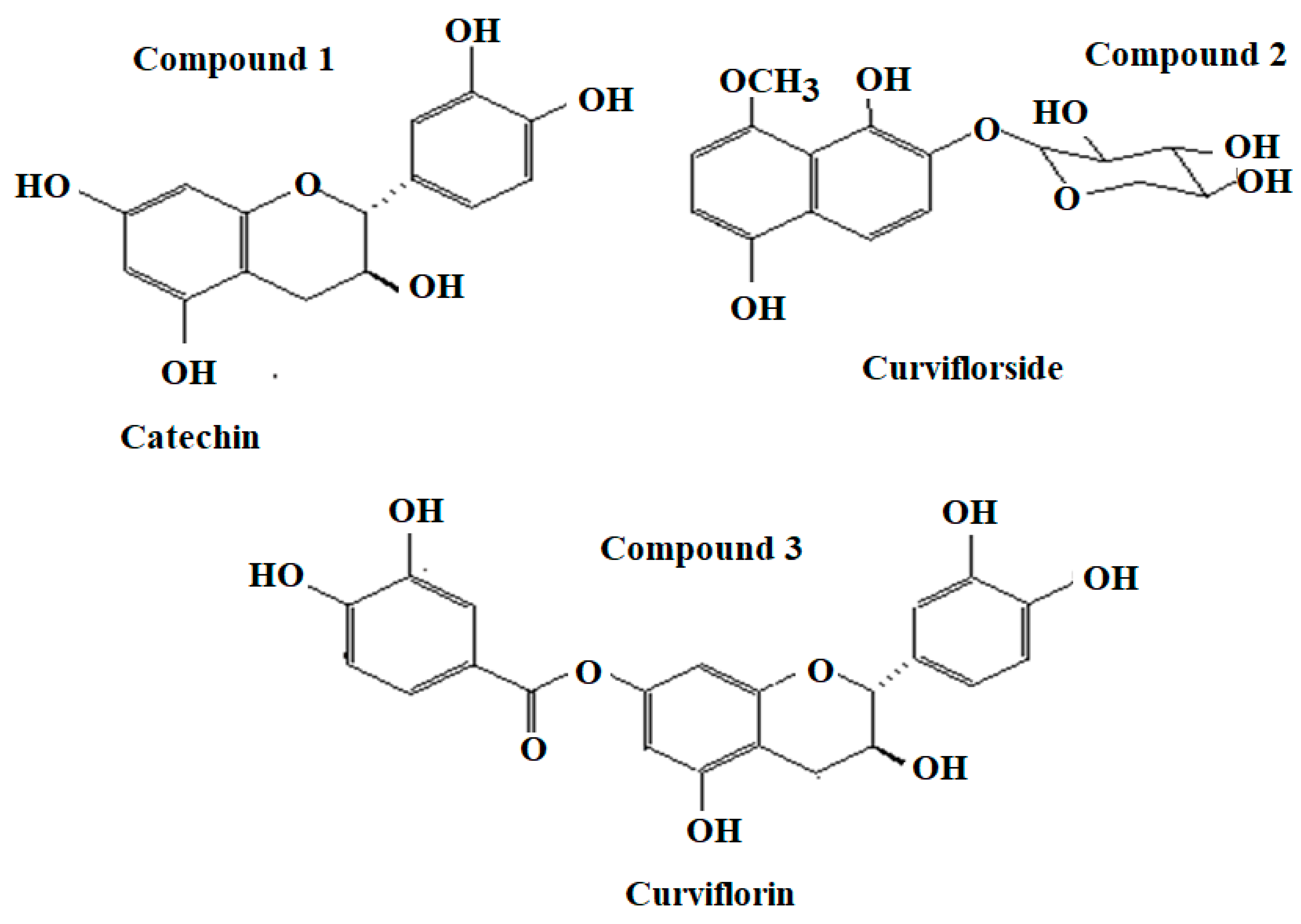 Plants 11 00361 g001 550
