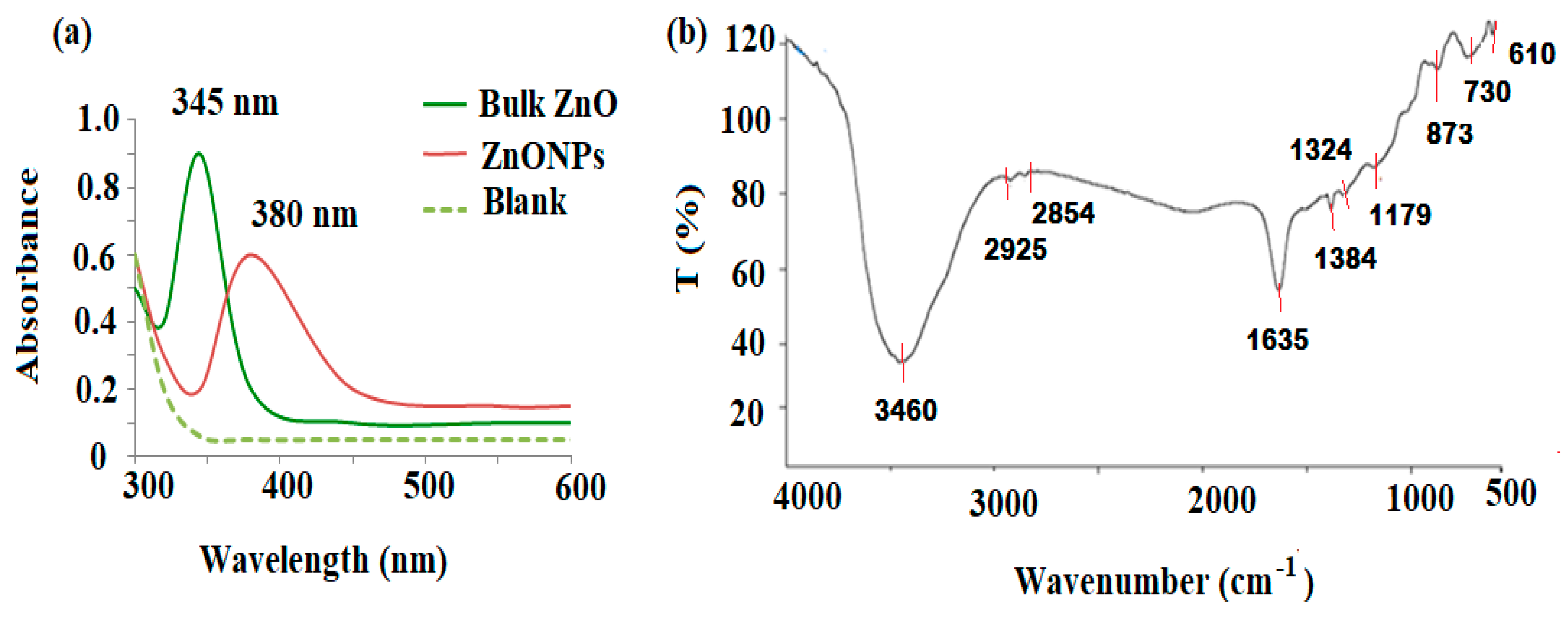 Plants 11 00361 g002 550