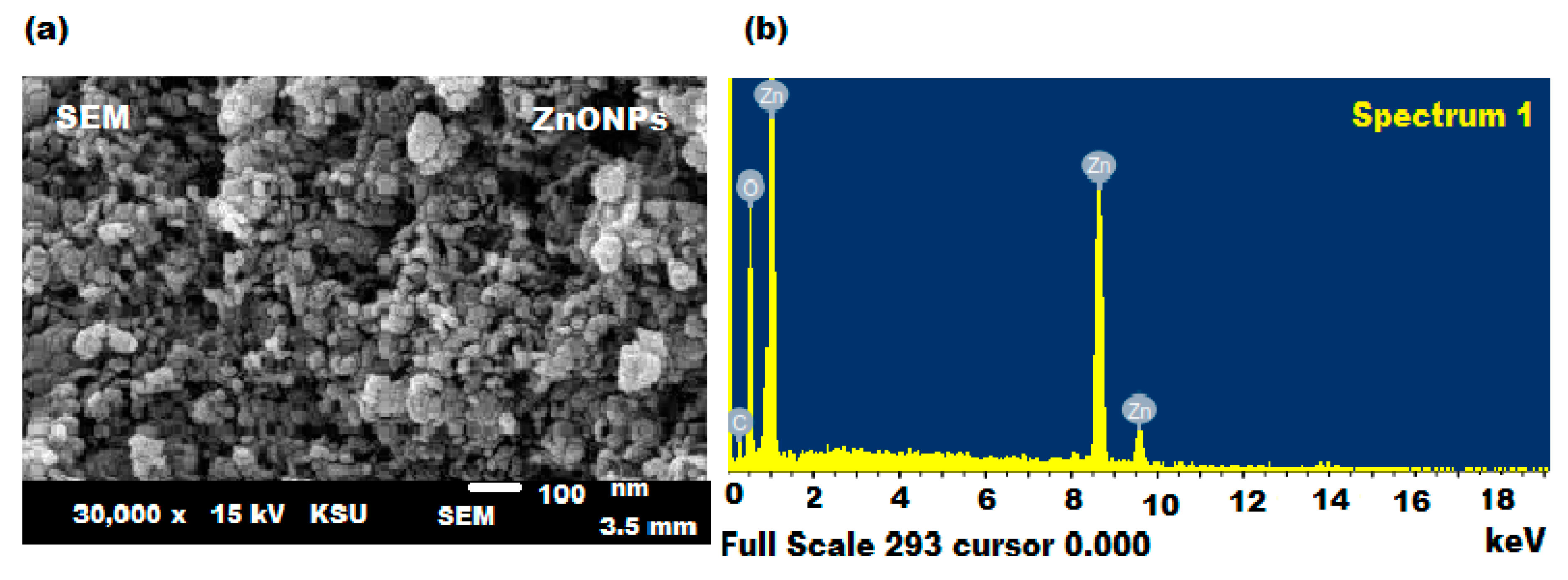 Plants 11 00361 g005 550