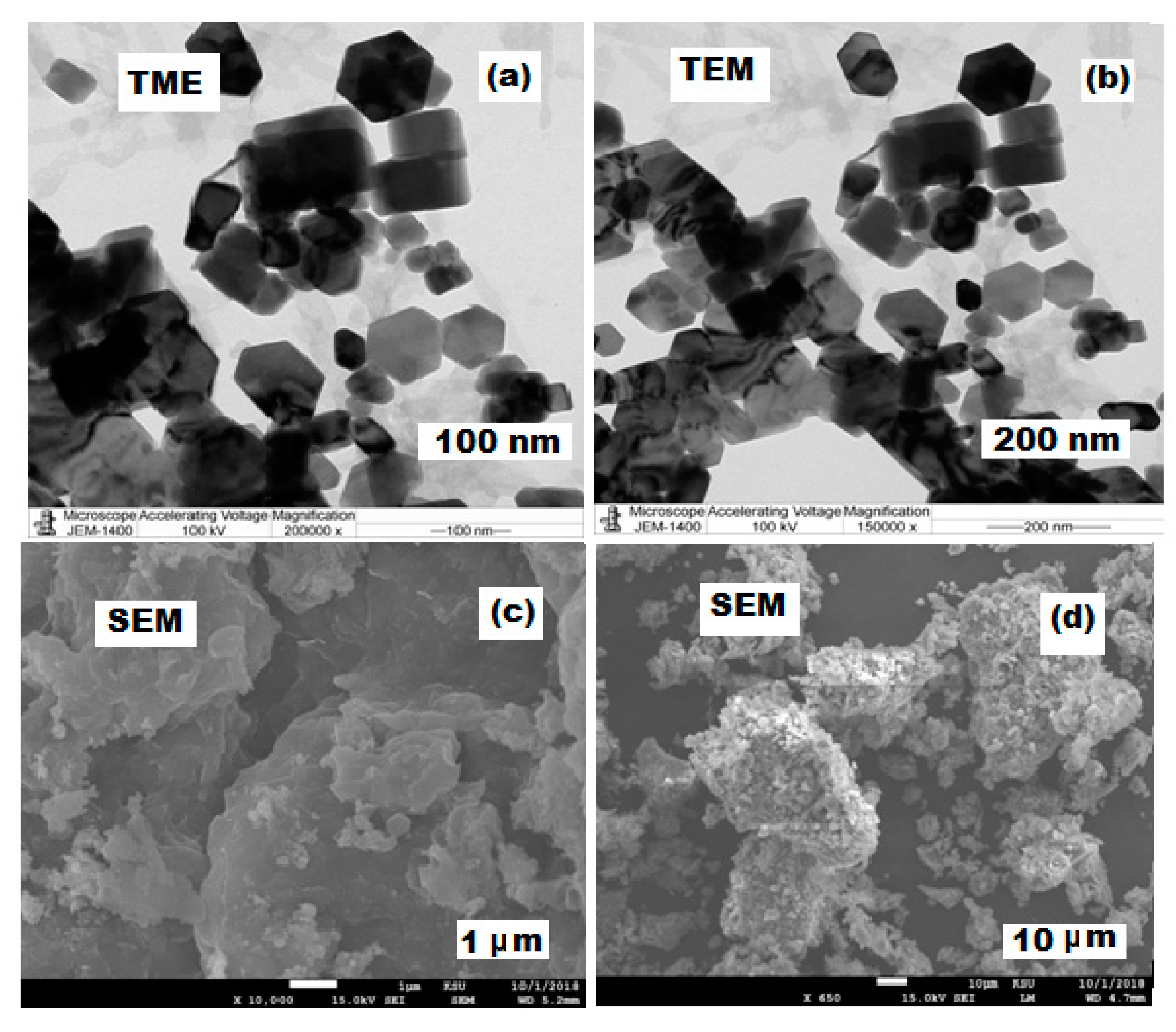 Plants 11 00361 g006 550