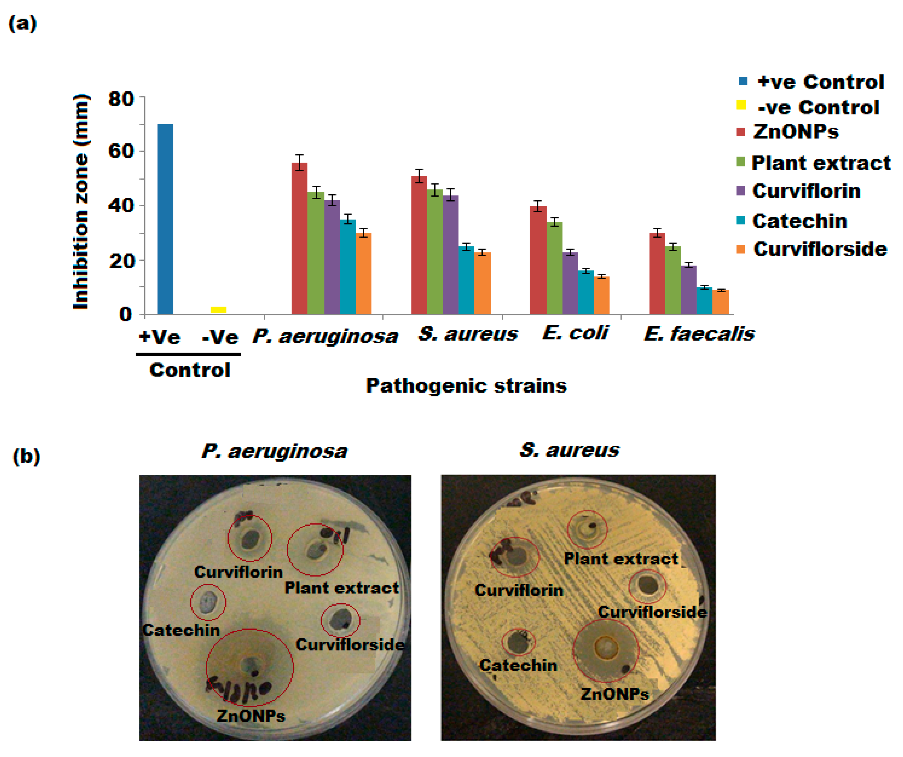 Plants 11 00361 g011 550
