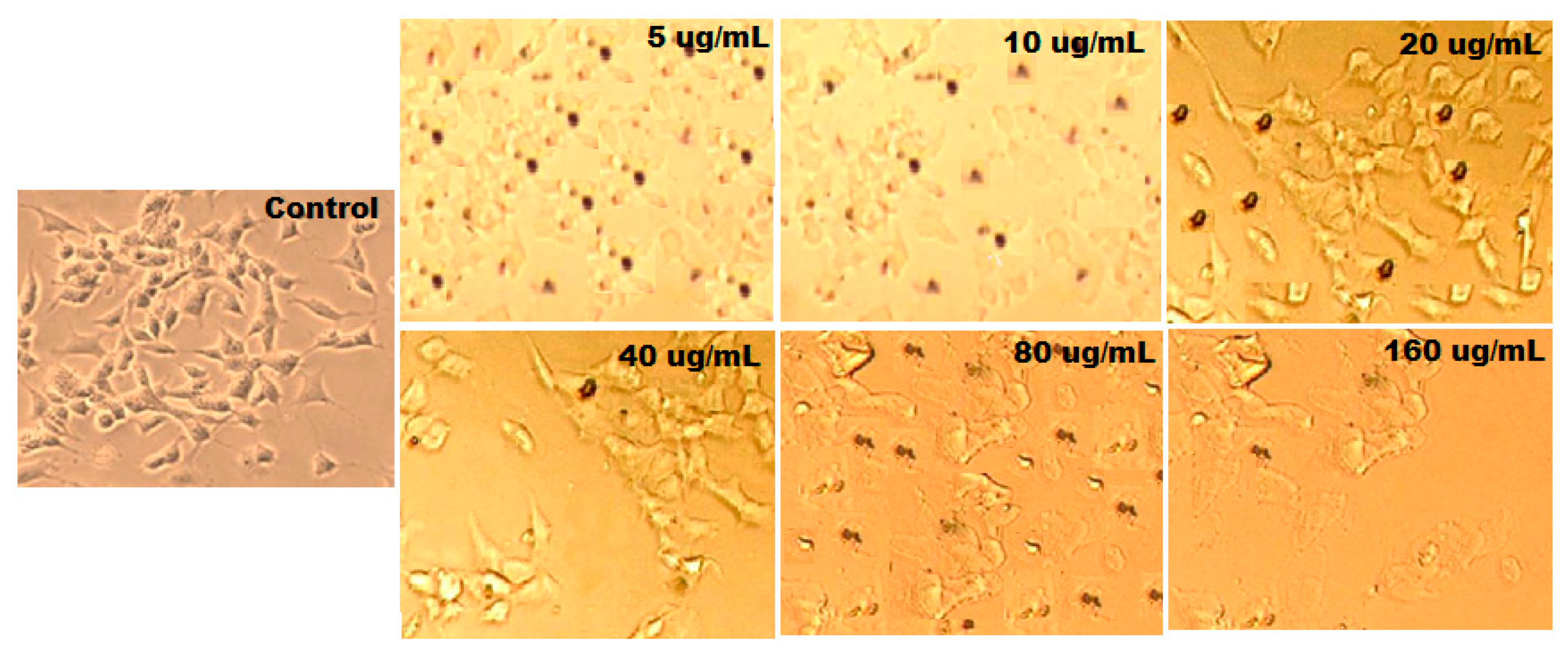 Plants 11 00361 g013 550