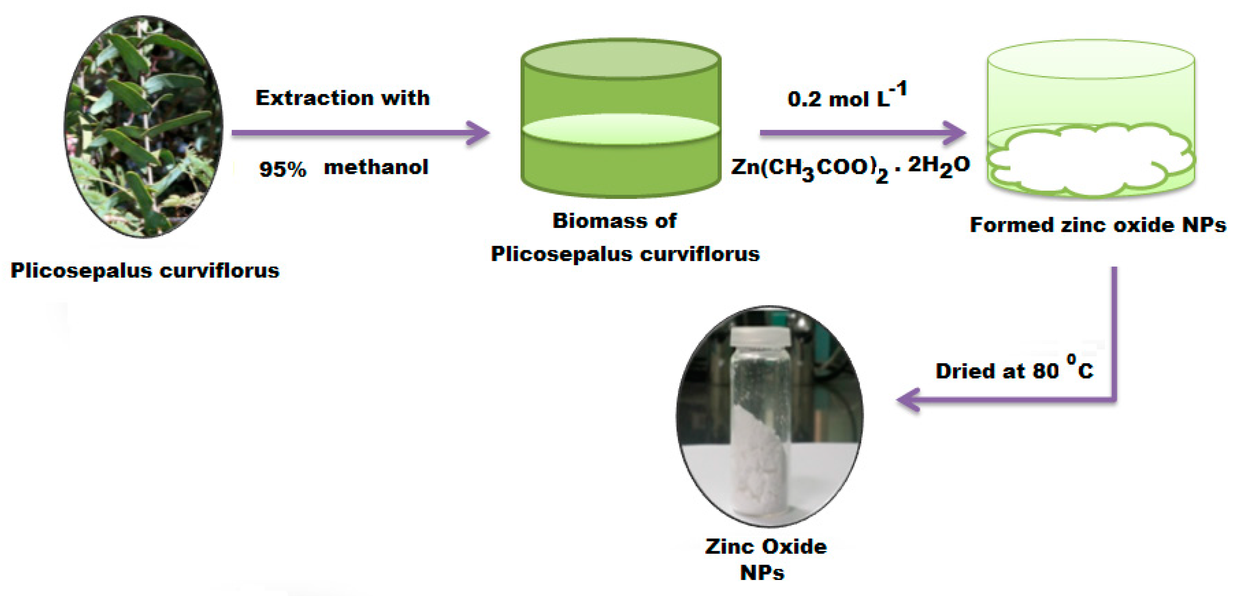 Plants 11 00361 sch001 550