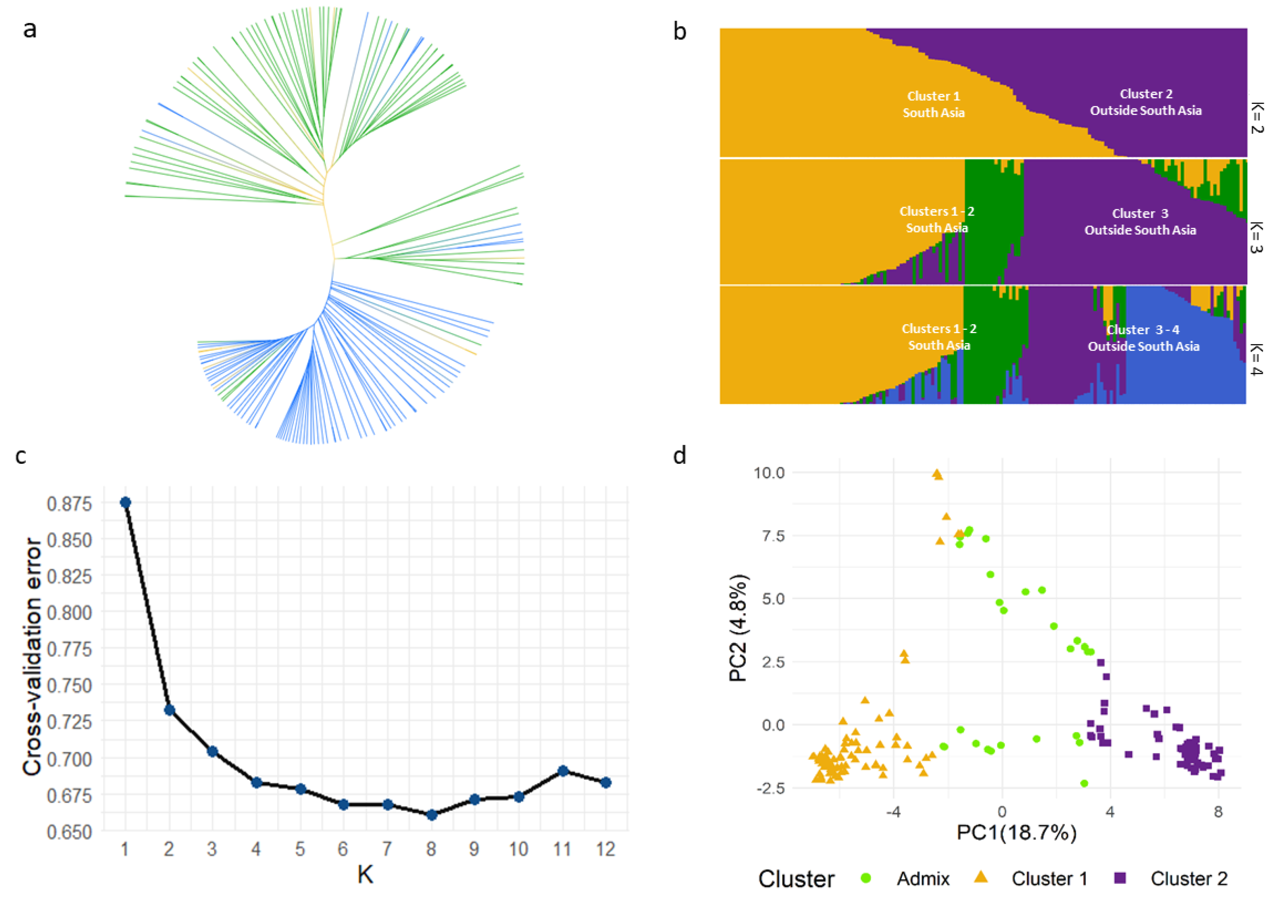 Plants 11 00364 g001