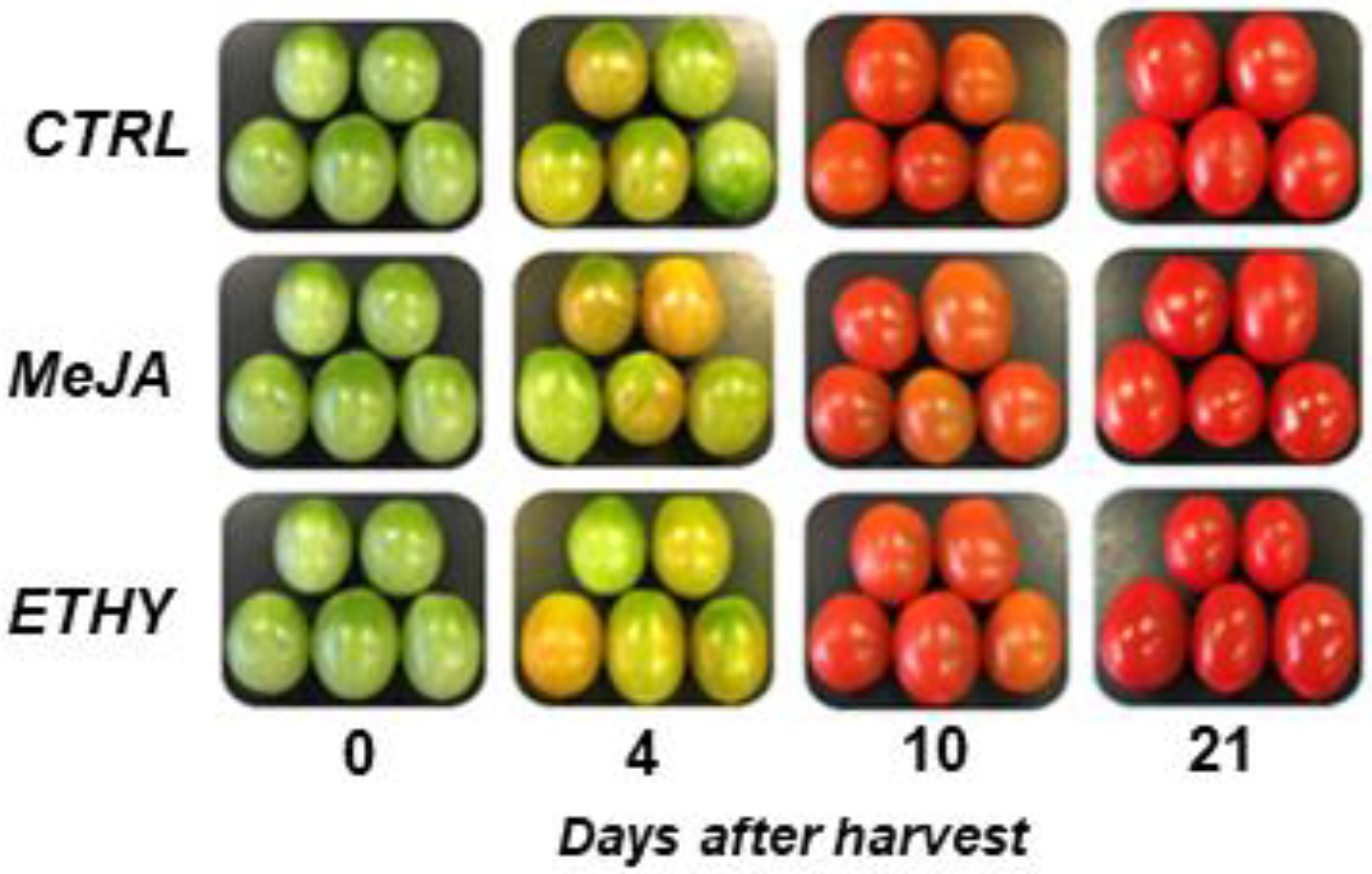 Plants 11 00366 g001 550