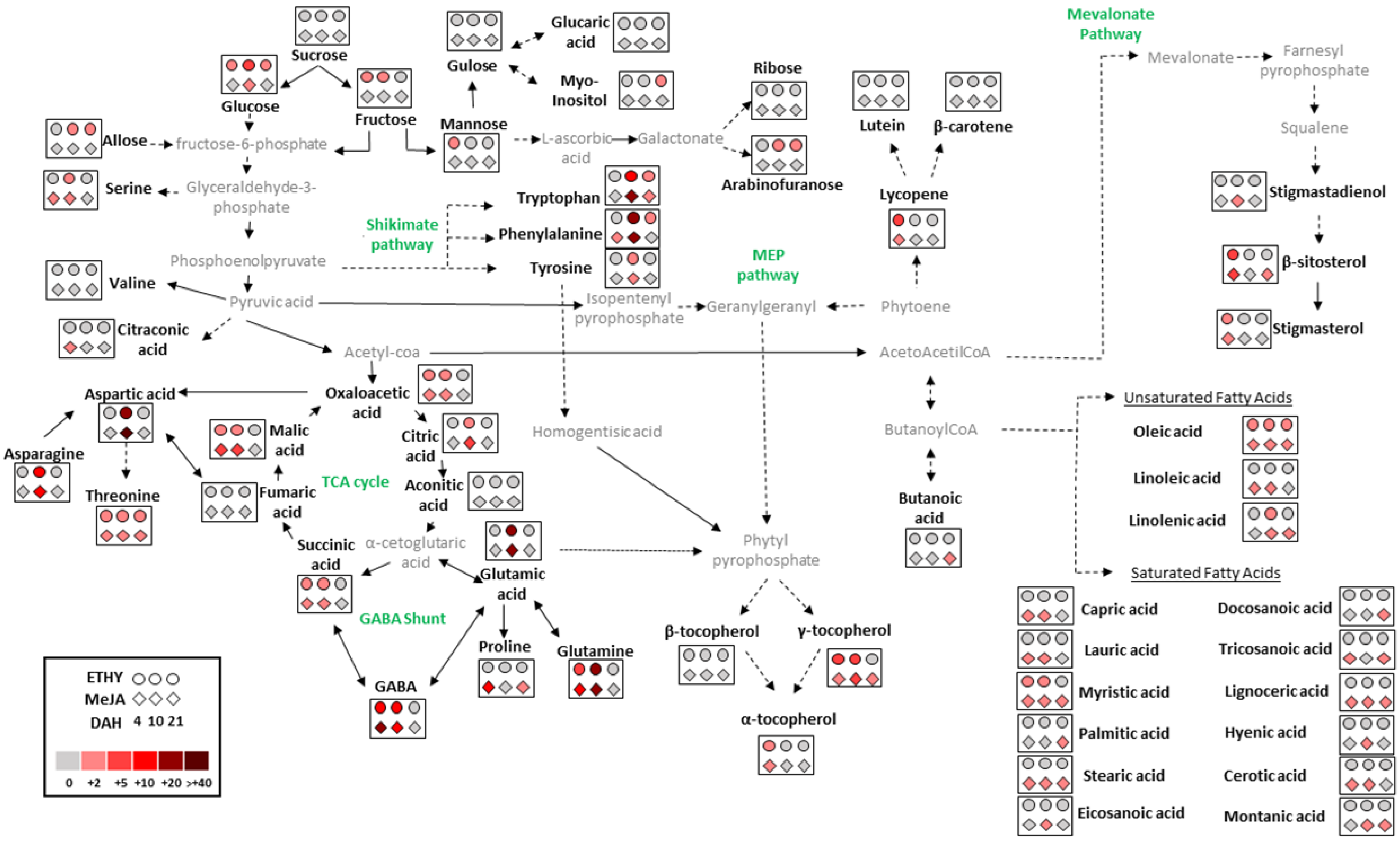 Plants 11 00366 g005 550