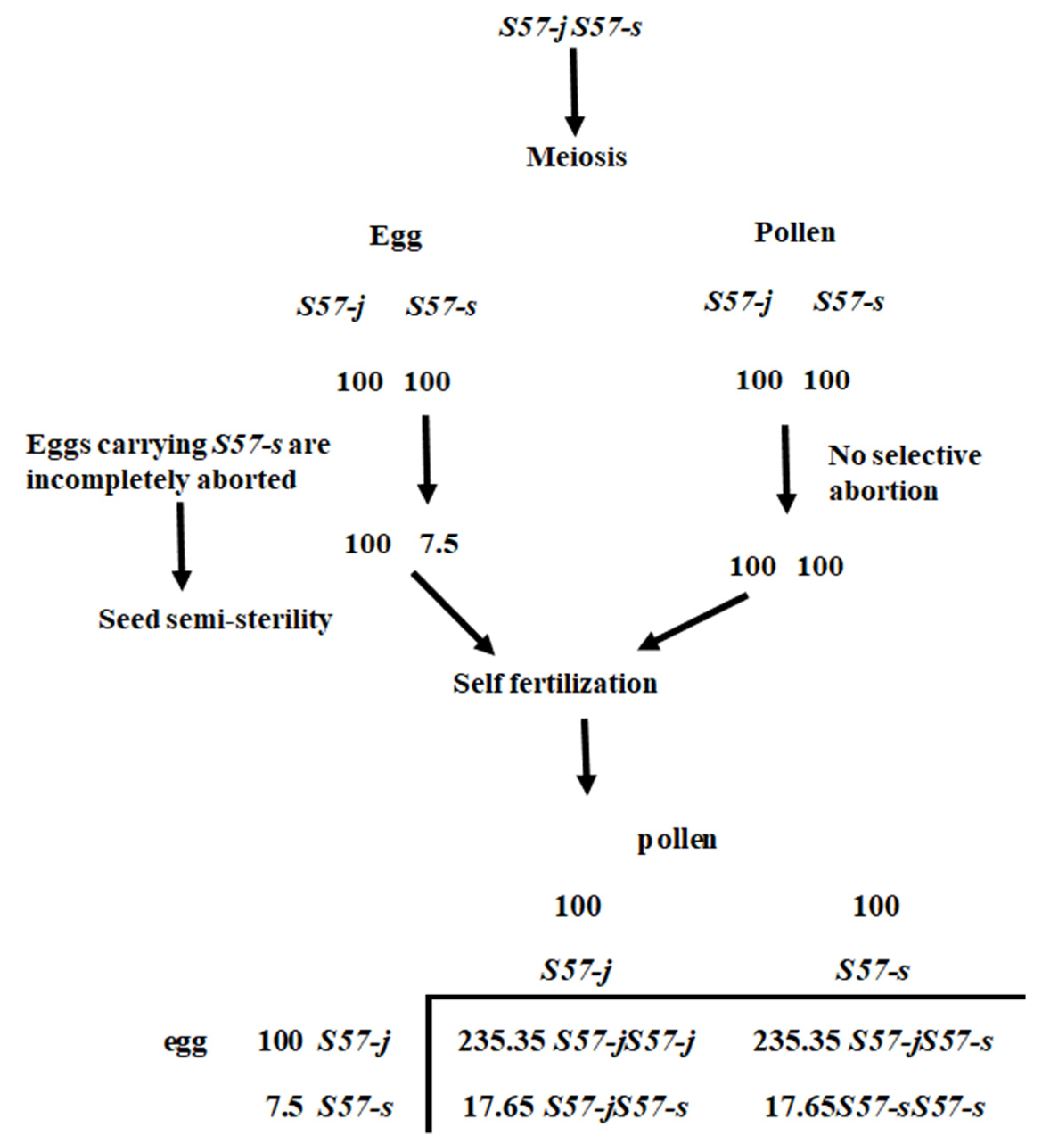 Plants 11 00378 g005 550
