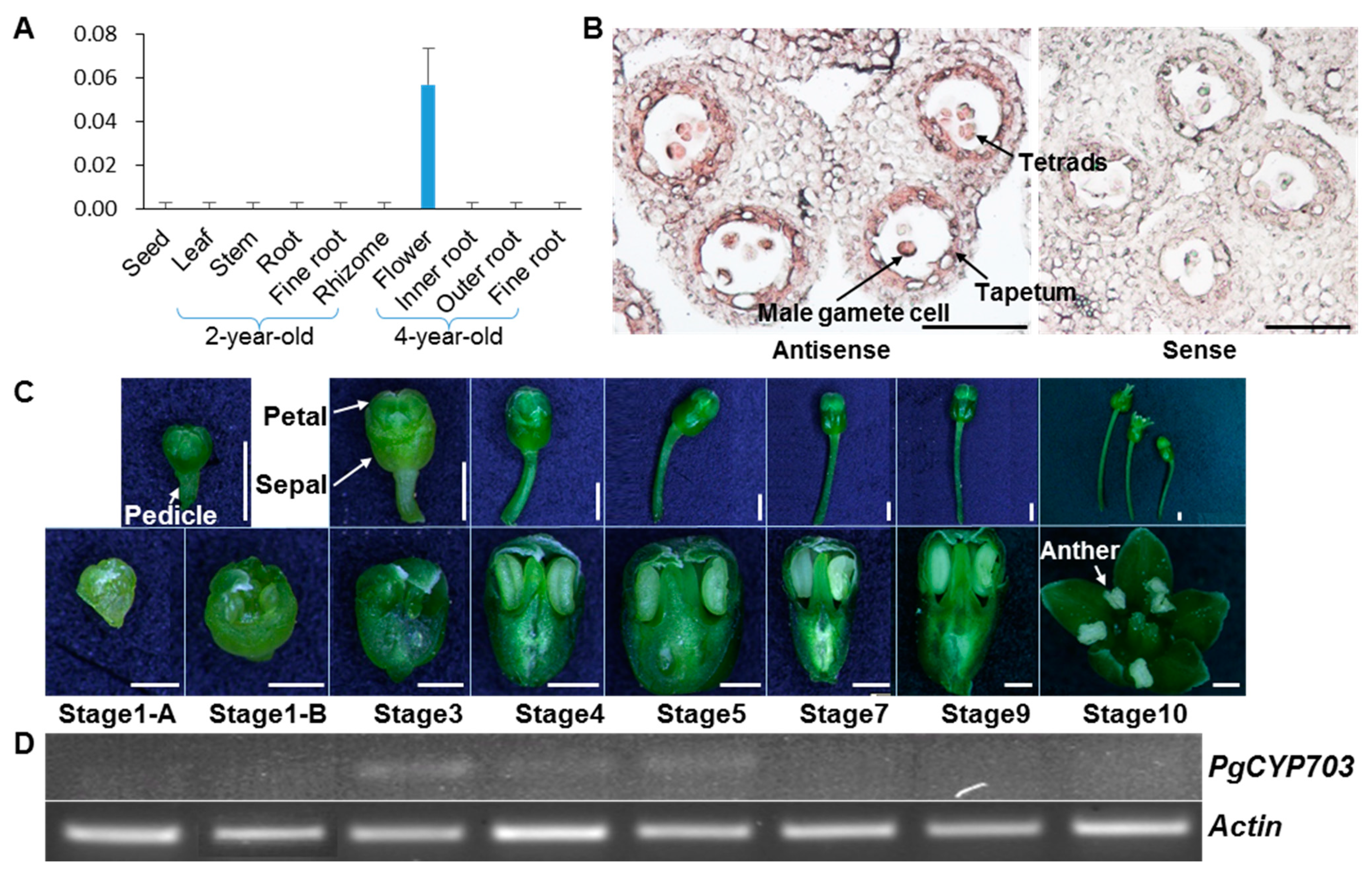 Plants 11 00383 g003 550