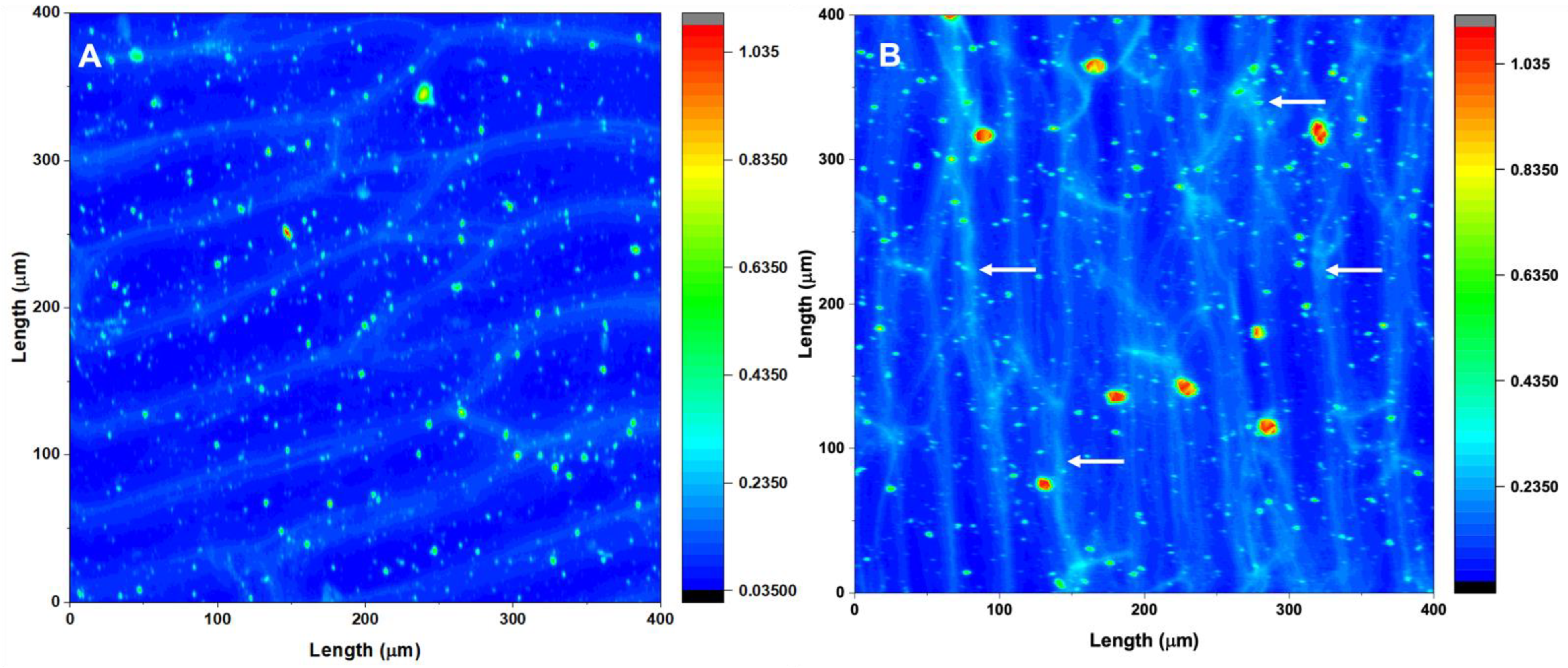 Plants 11 00385 g003 Plants 11 00385 g003