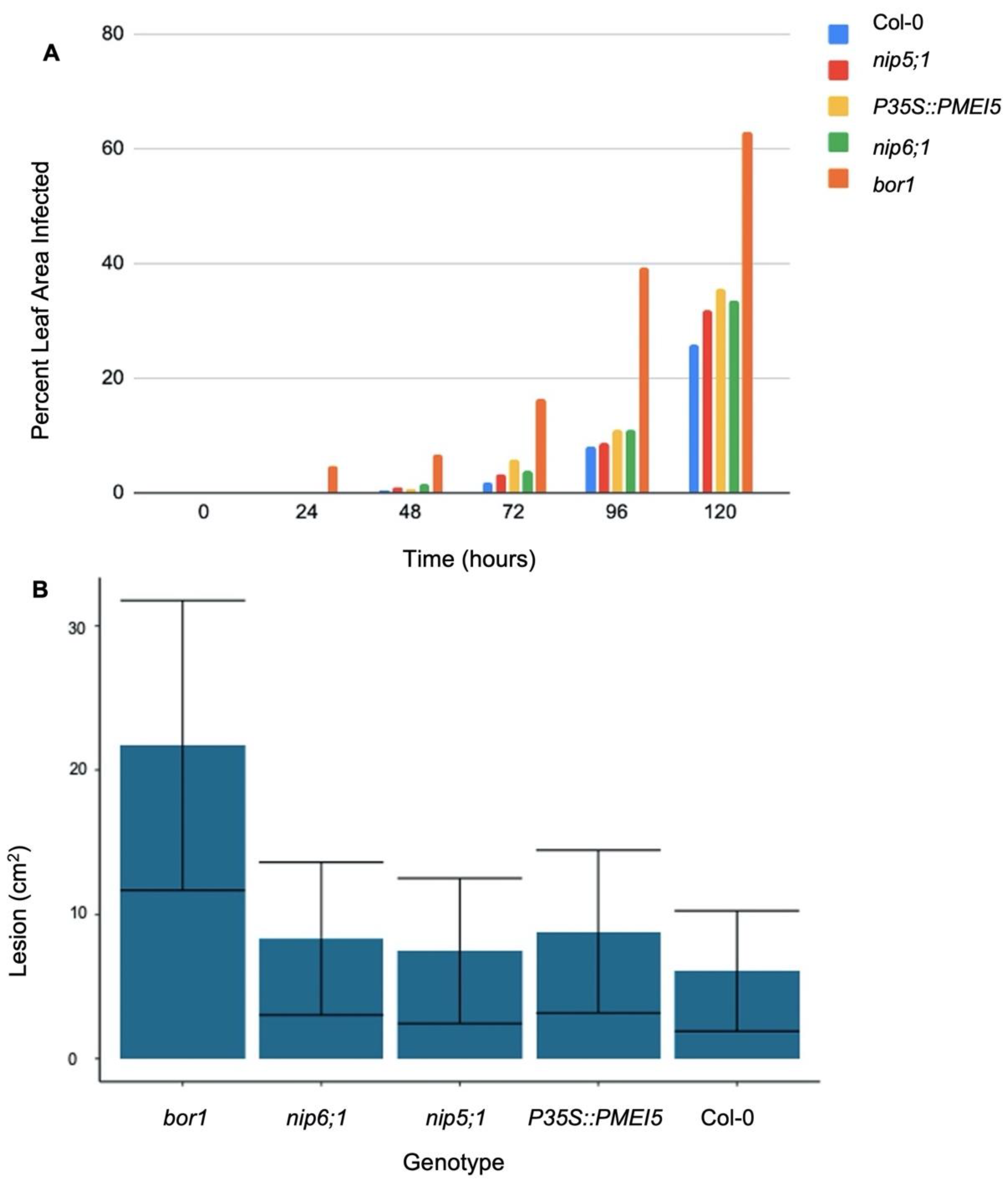 Plants 11 00385 g008 Plants 11 00385 g008
