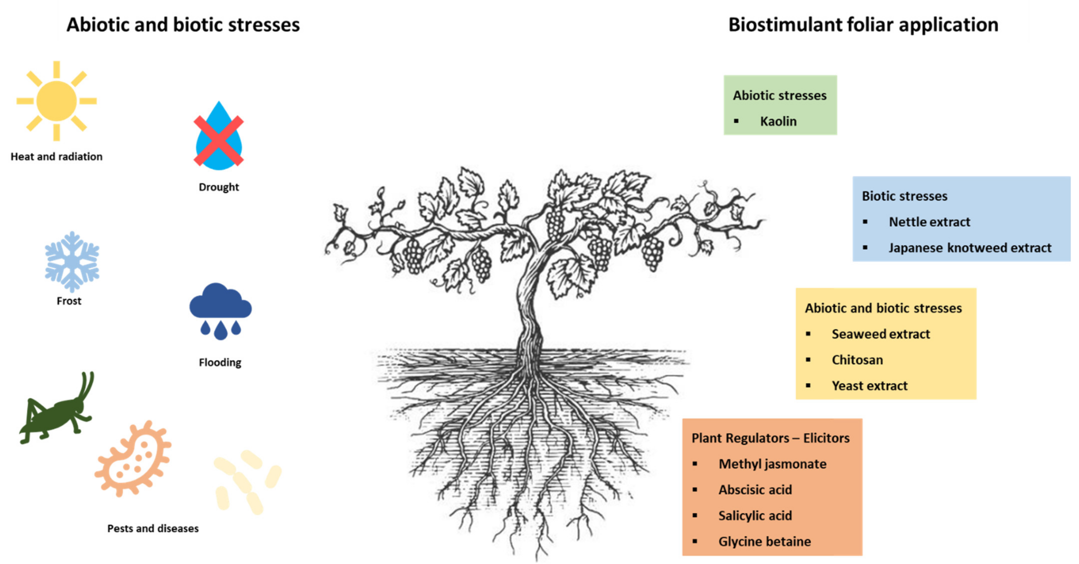 Plants 11 00396 g001
