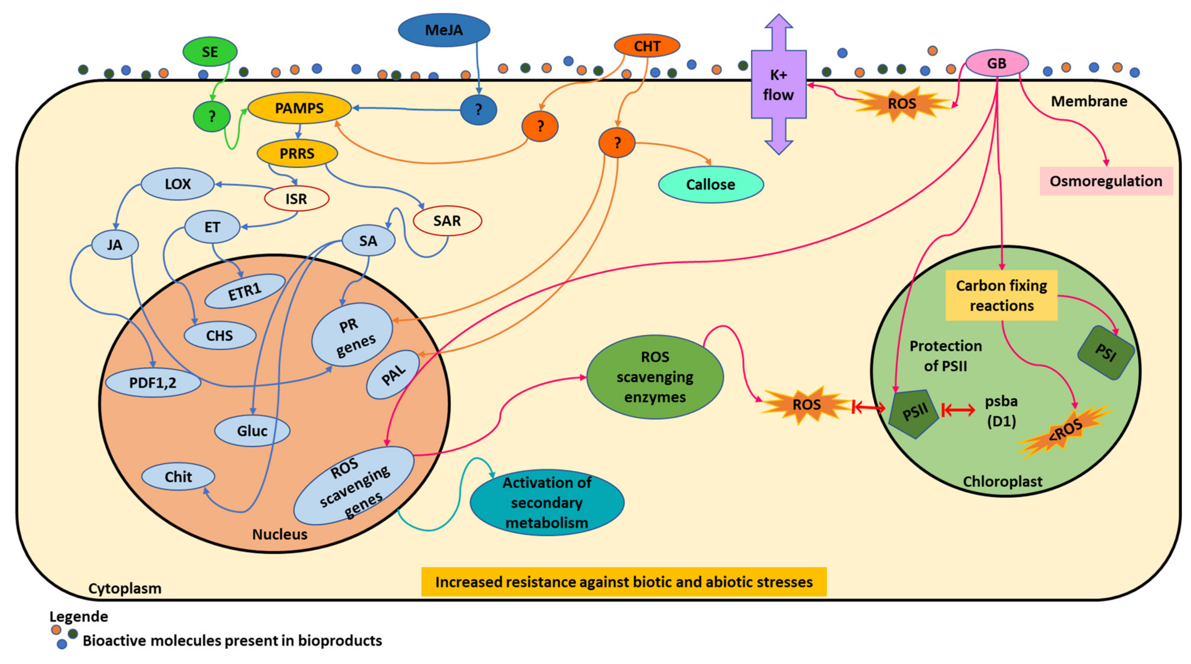 Plants 11 00396 g002