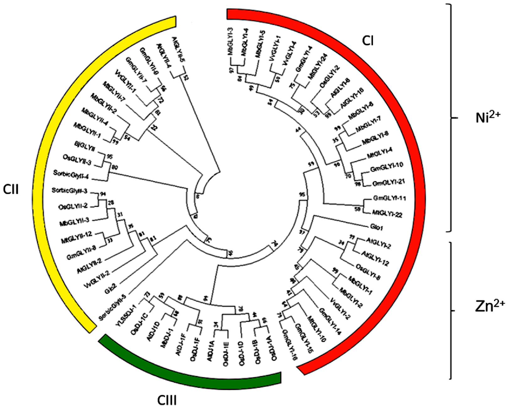 Plants 11 00399 g005