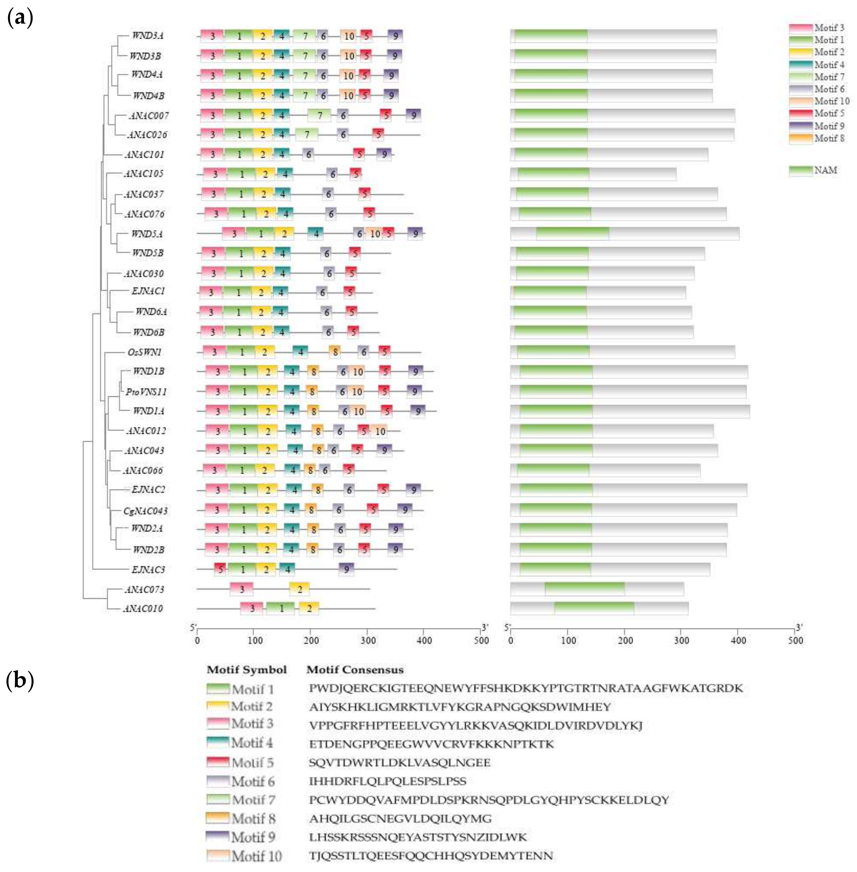 Plants 11 00403 g002