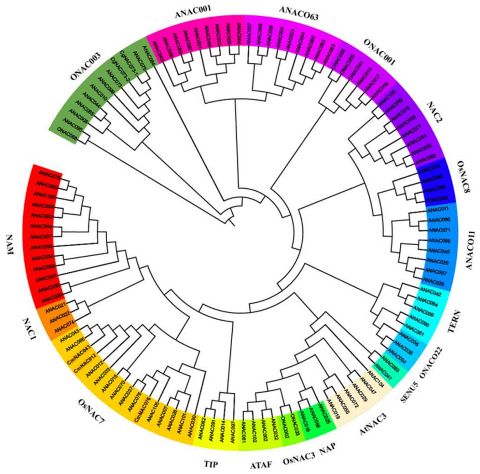 Plants 11 00403 g003