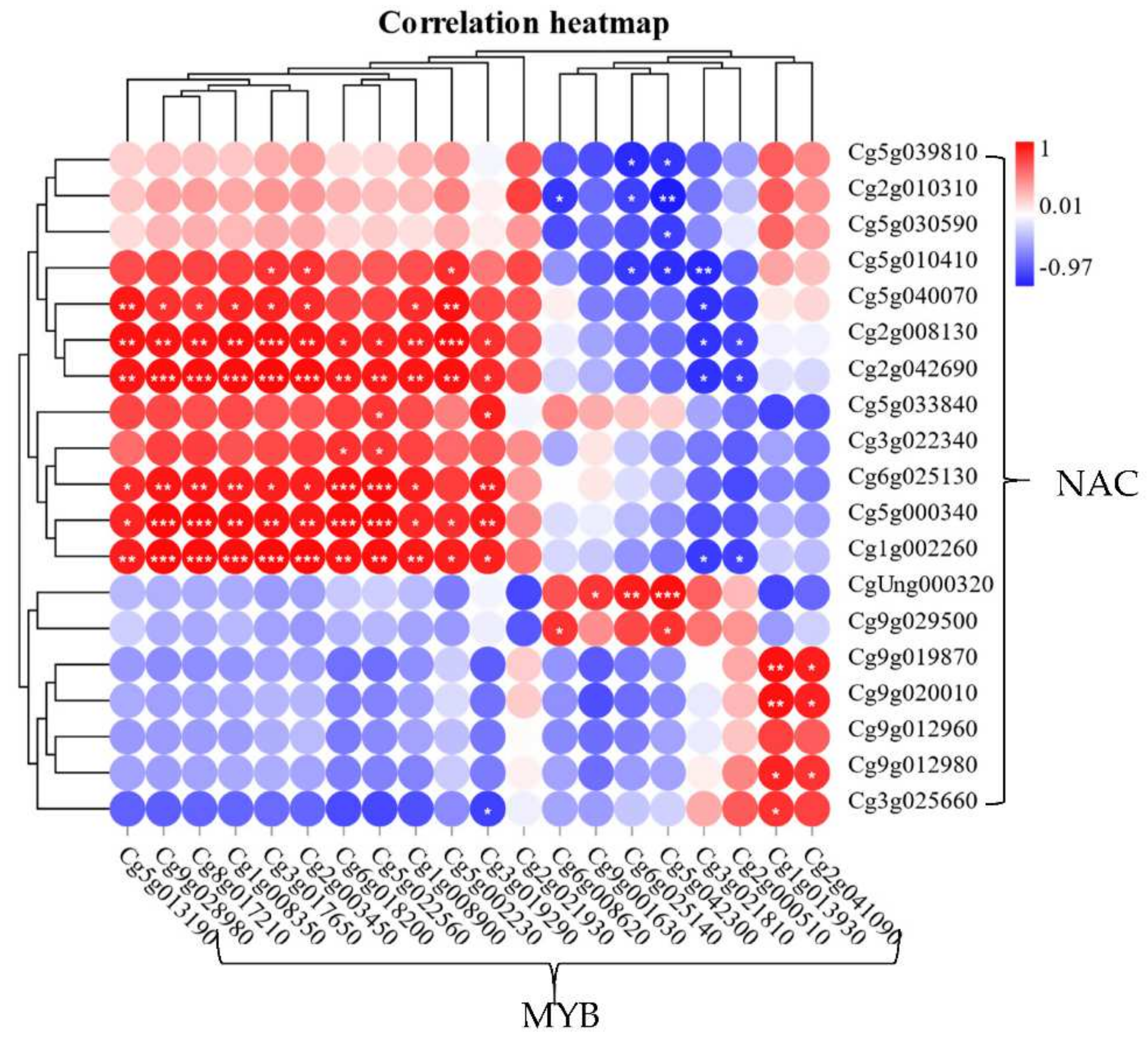 Plants 11 00403 g004