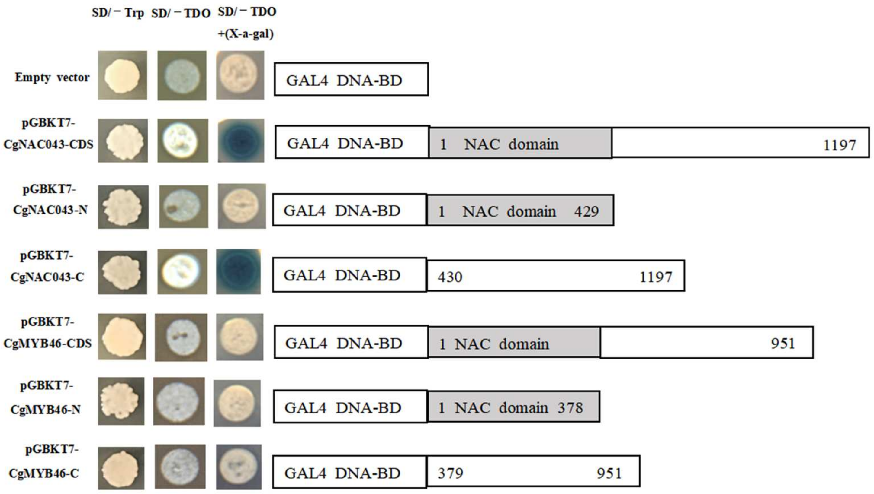 Plants 11 00403 g007