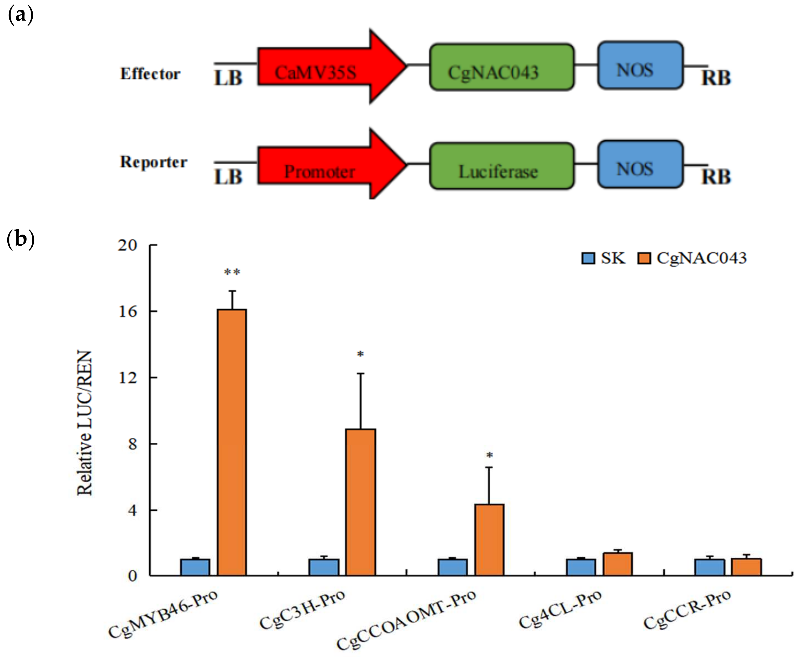 Plants 11 00403 g009